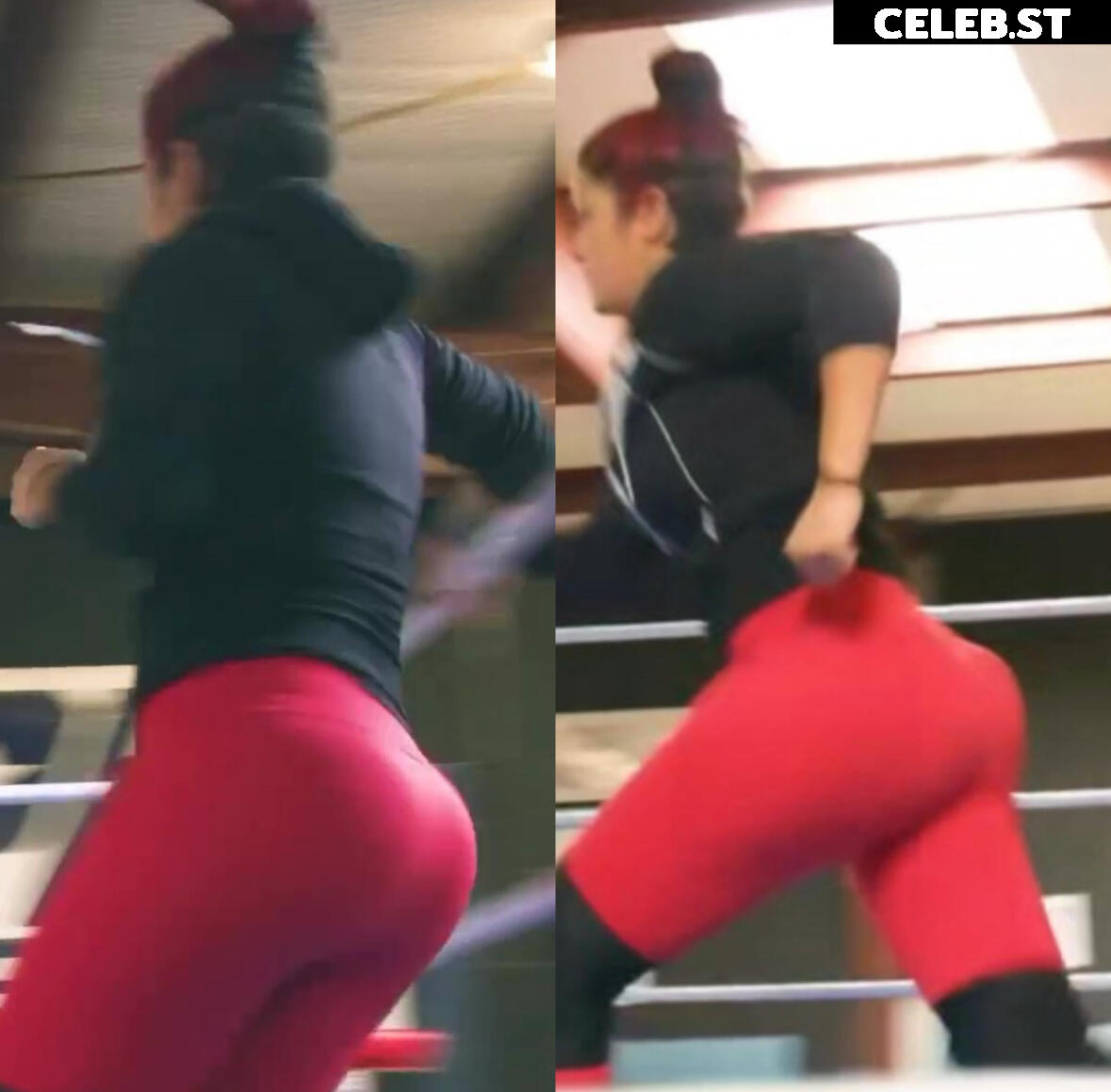 Bayley Image 1773144