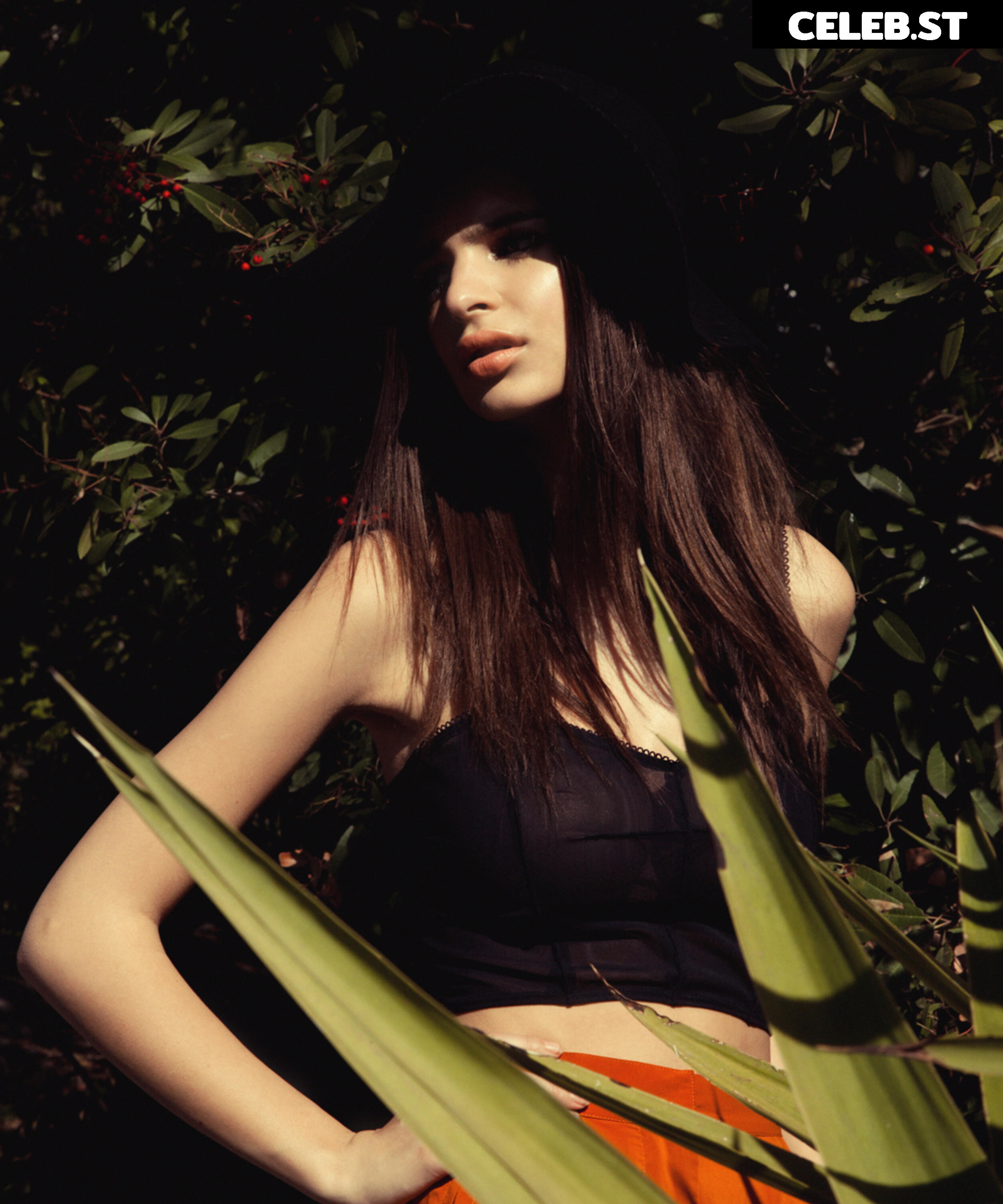 Emily Ratajkowski Image 1770491