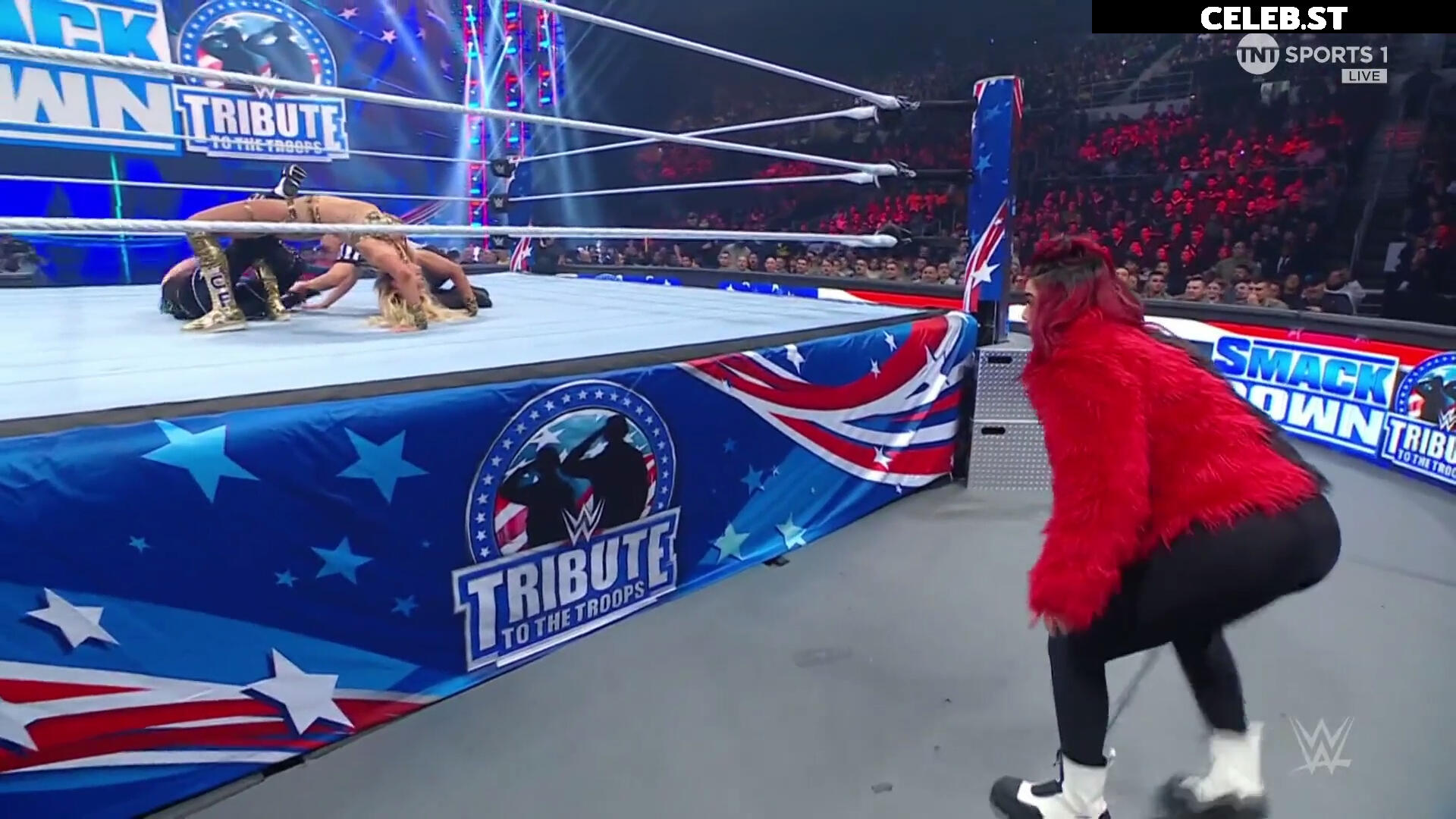 Bayley Image 1766711