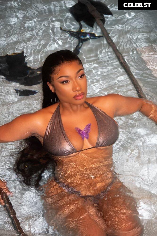 Megan thee stallion Image 1767234