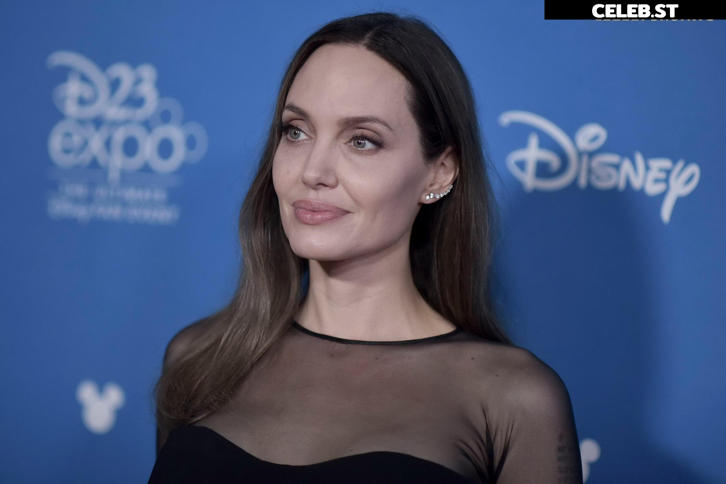 Angelina Jolie Image 1761023