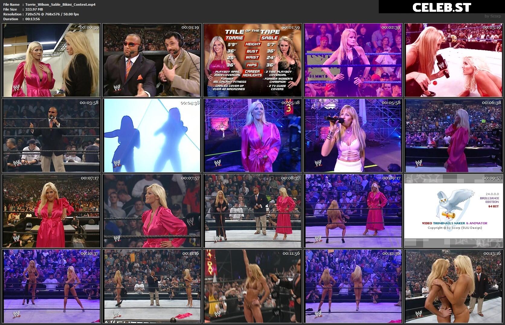 Torrie Wilson Image 1755573