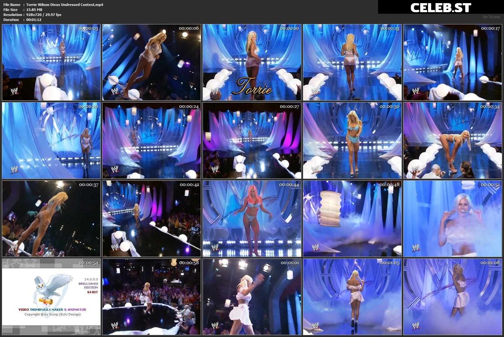 Torrie Wilson Image 1755501