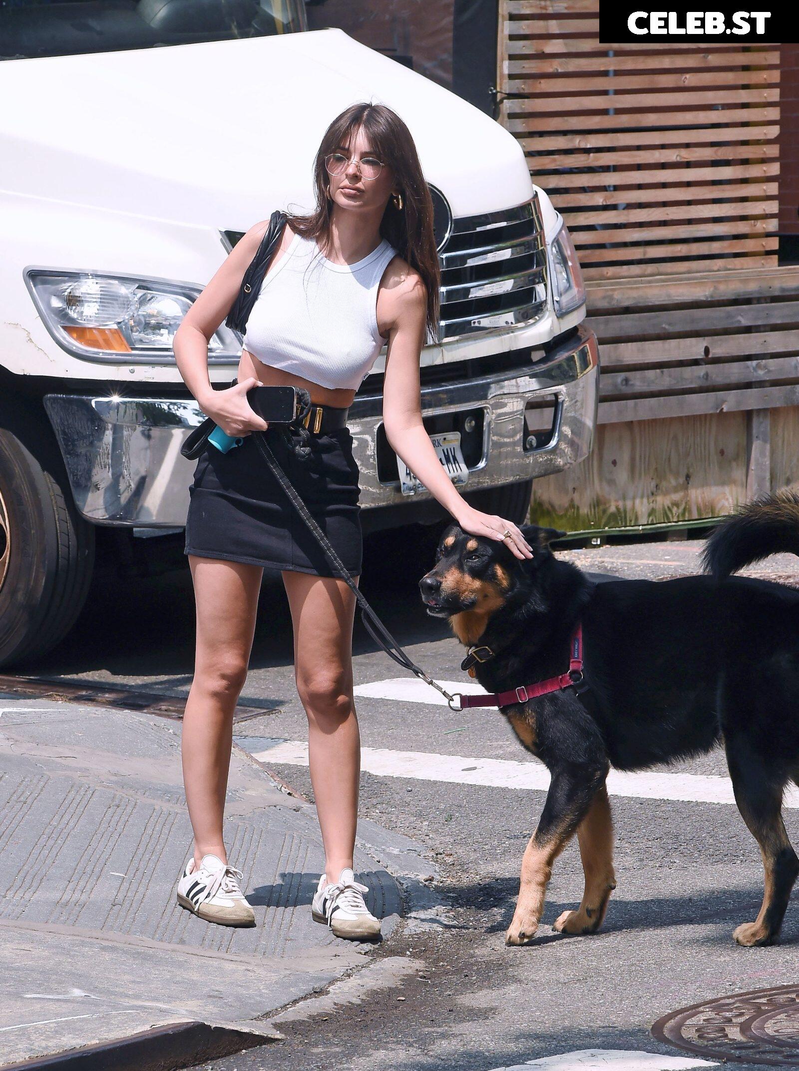 Emily Ratajkowski Image 1751990