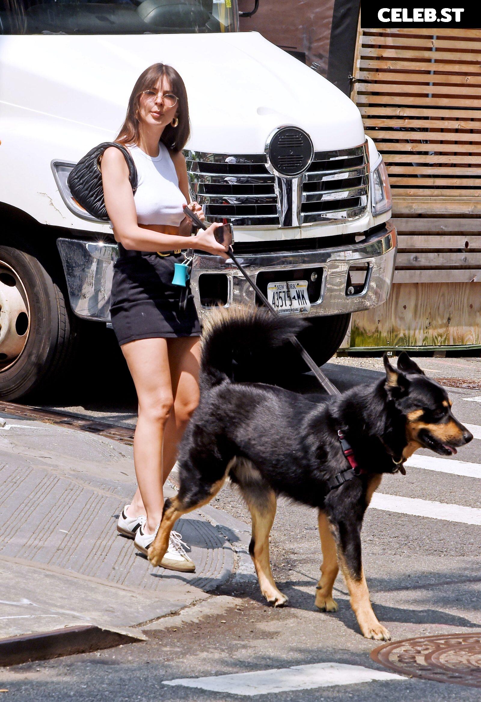 Emily Ratajkowski Image 1752059