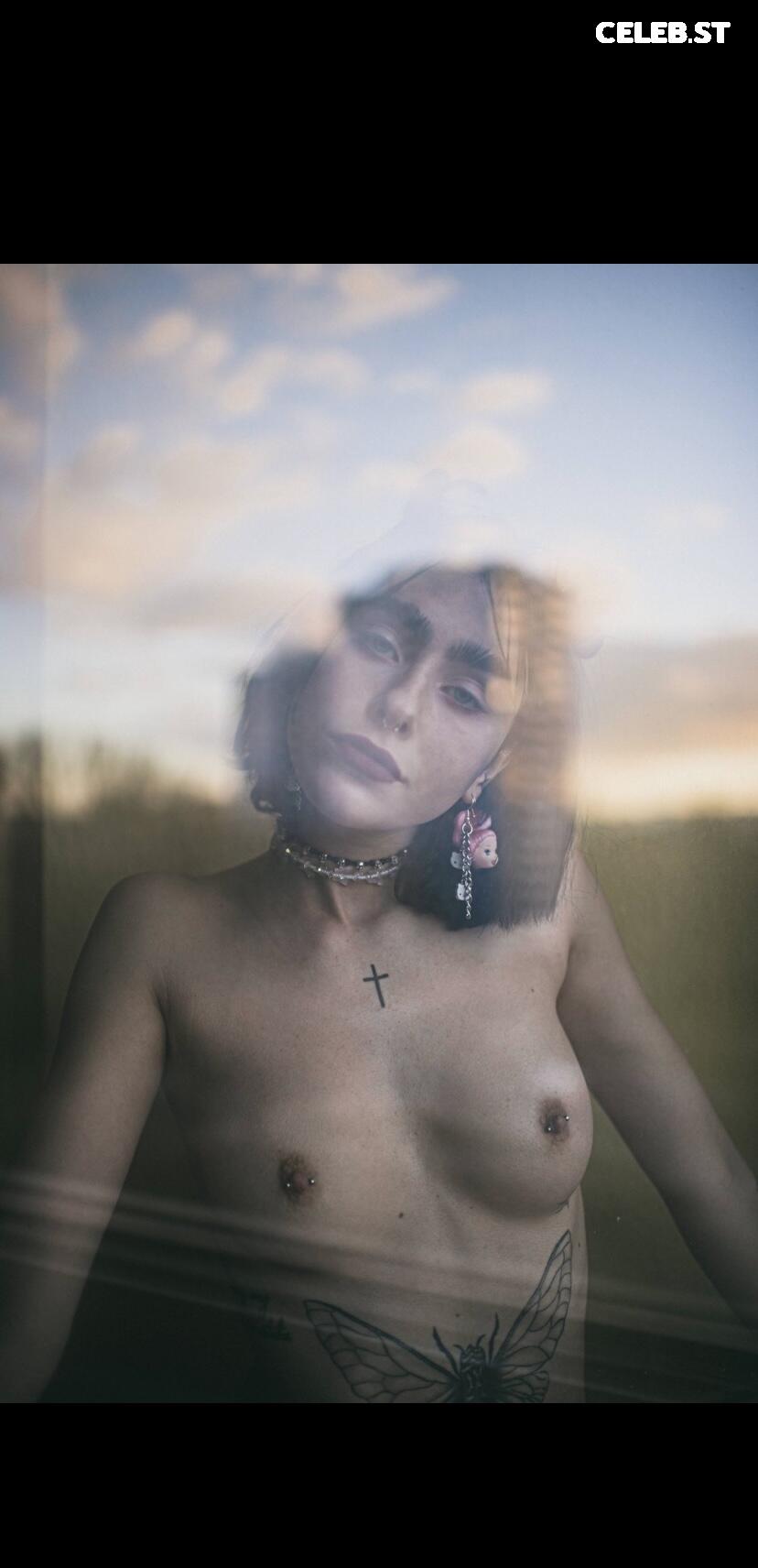 Mare Cirko Image 1750603