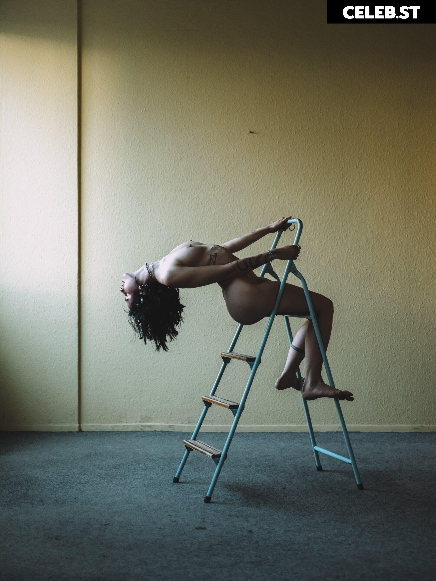 Mare Cirko Image 1750250