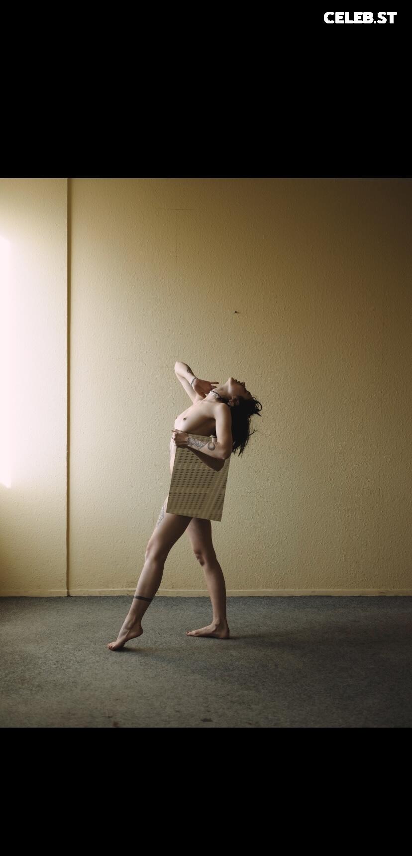 Mare Cirko Image 1750264