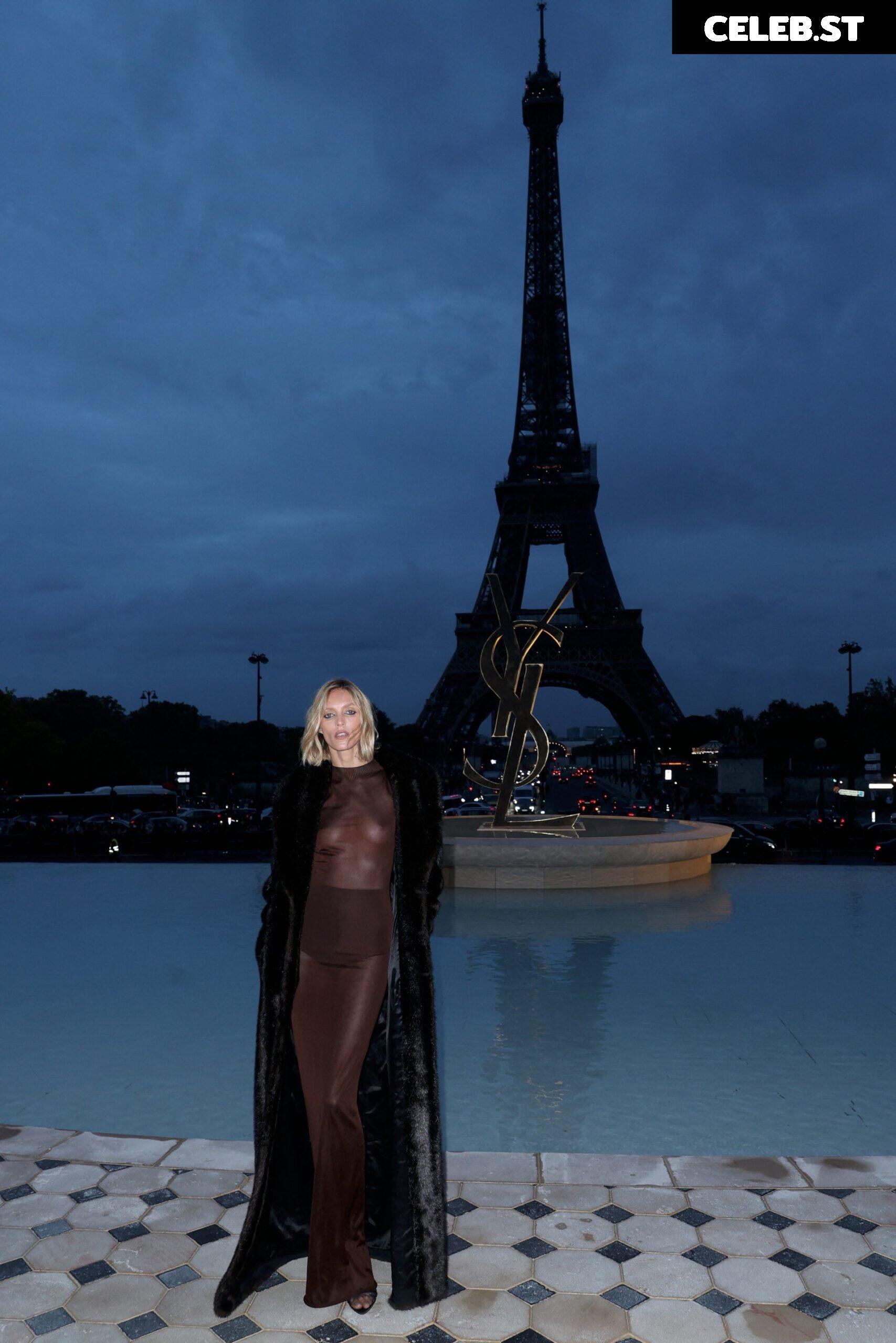 Anja Rubik Image 1745617