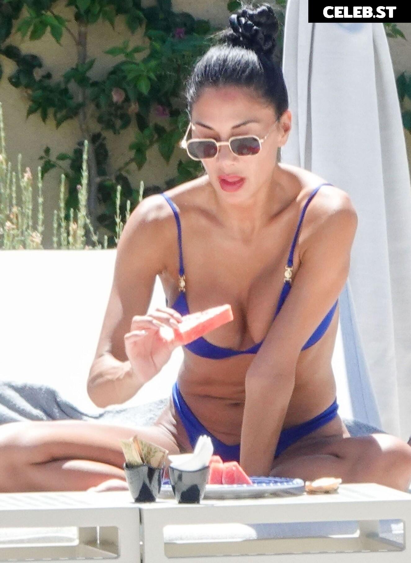 Nicole Scherzinger Image 1745188
