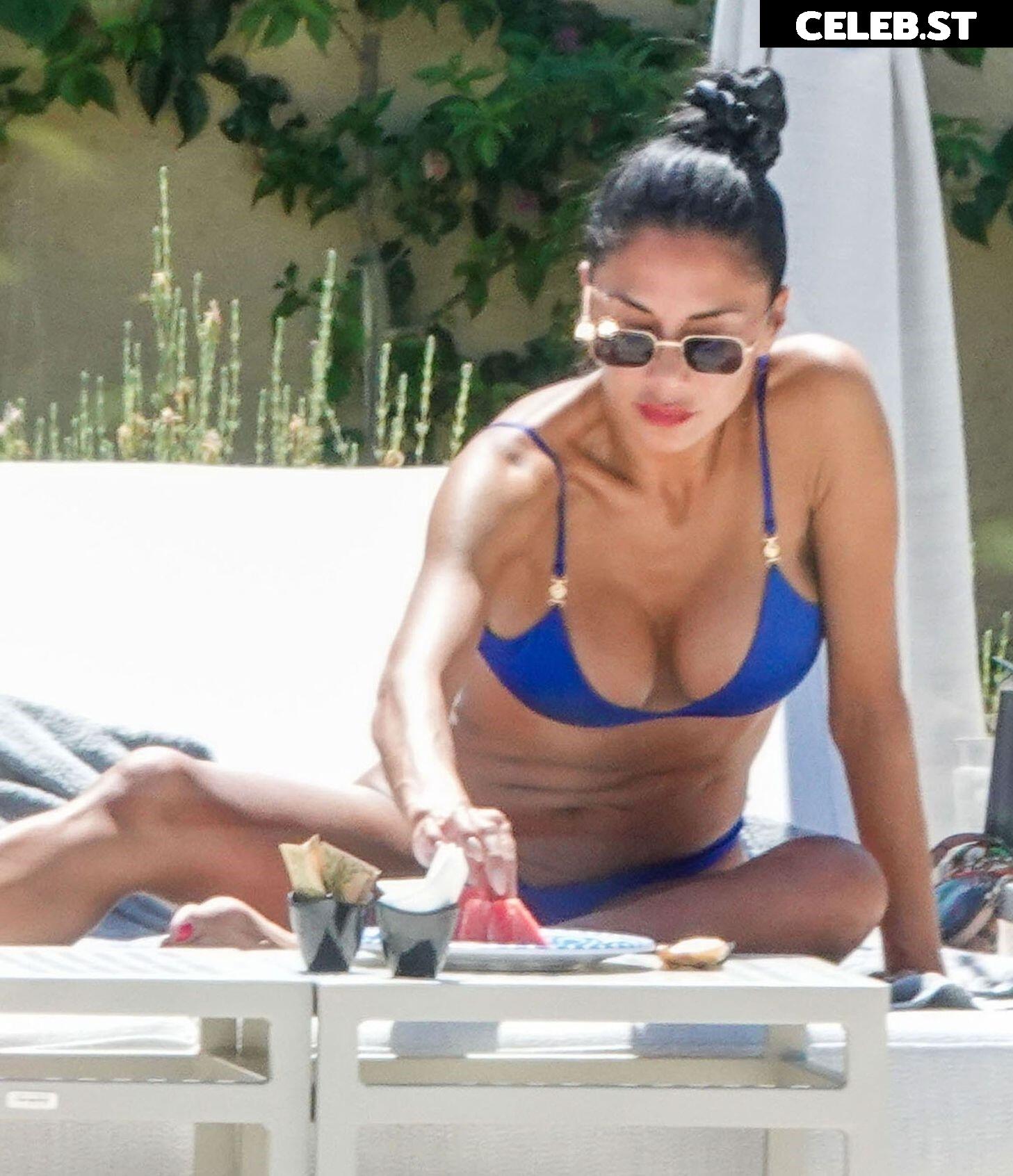 Nicole Scherzinger Image 1745363