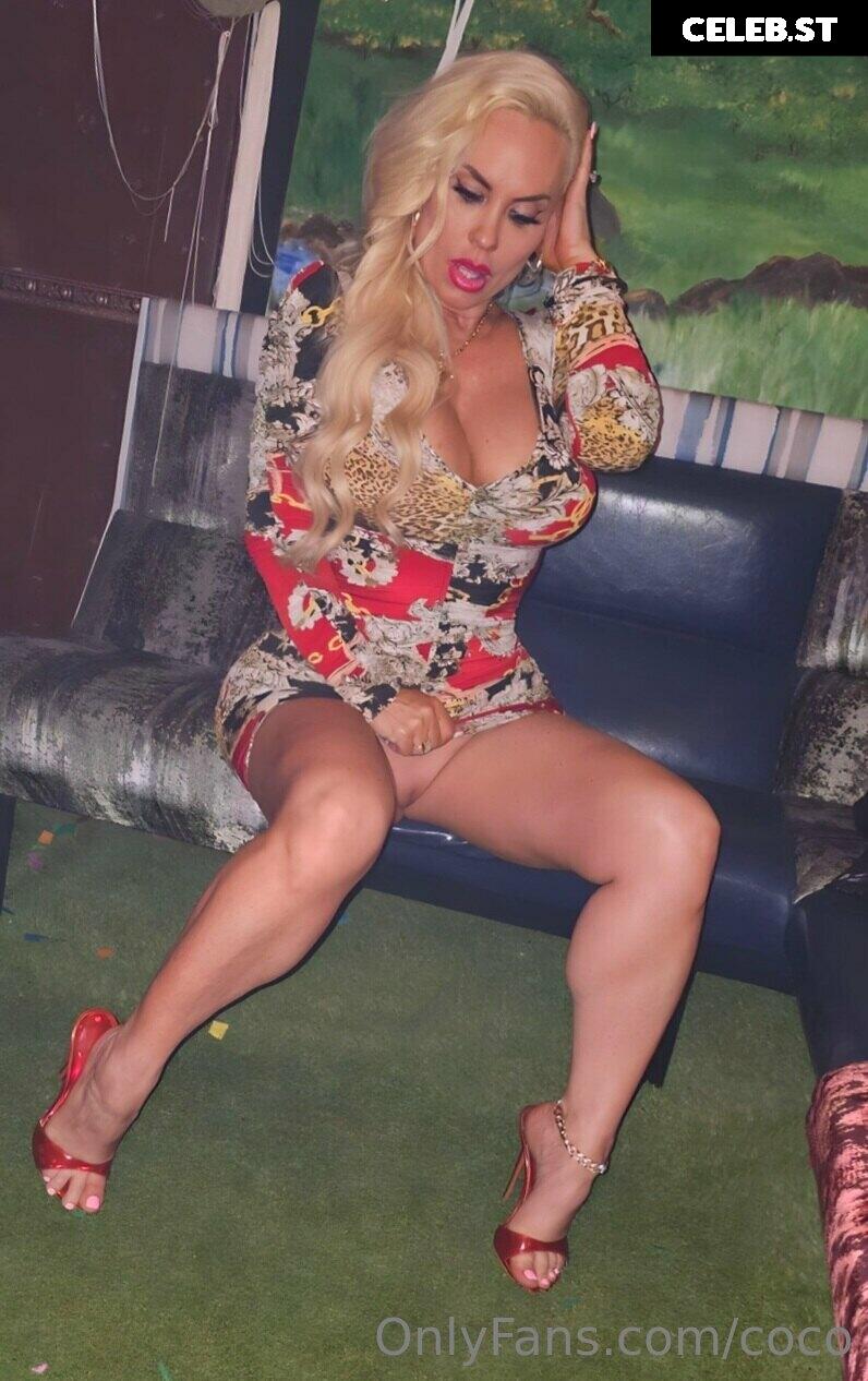 Nicole Coco Austin Image 1740164