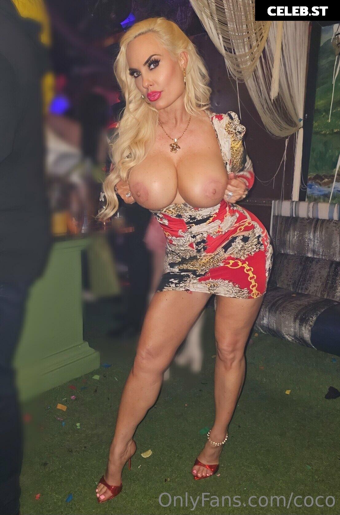 Nicole Coco Austin Image 1740253