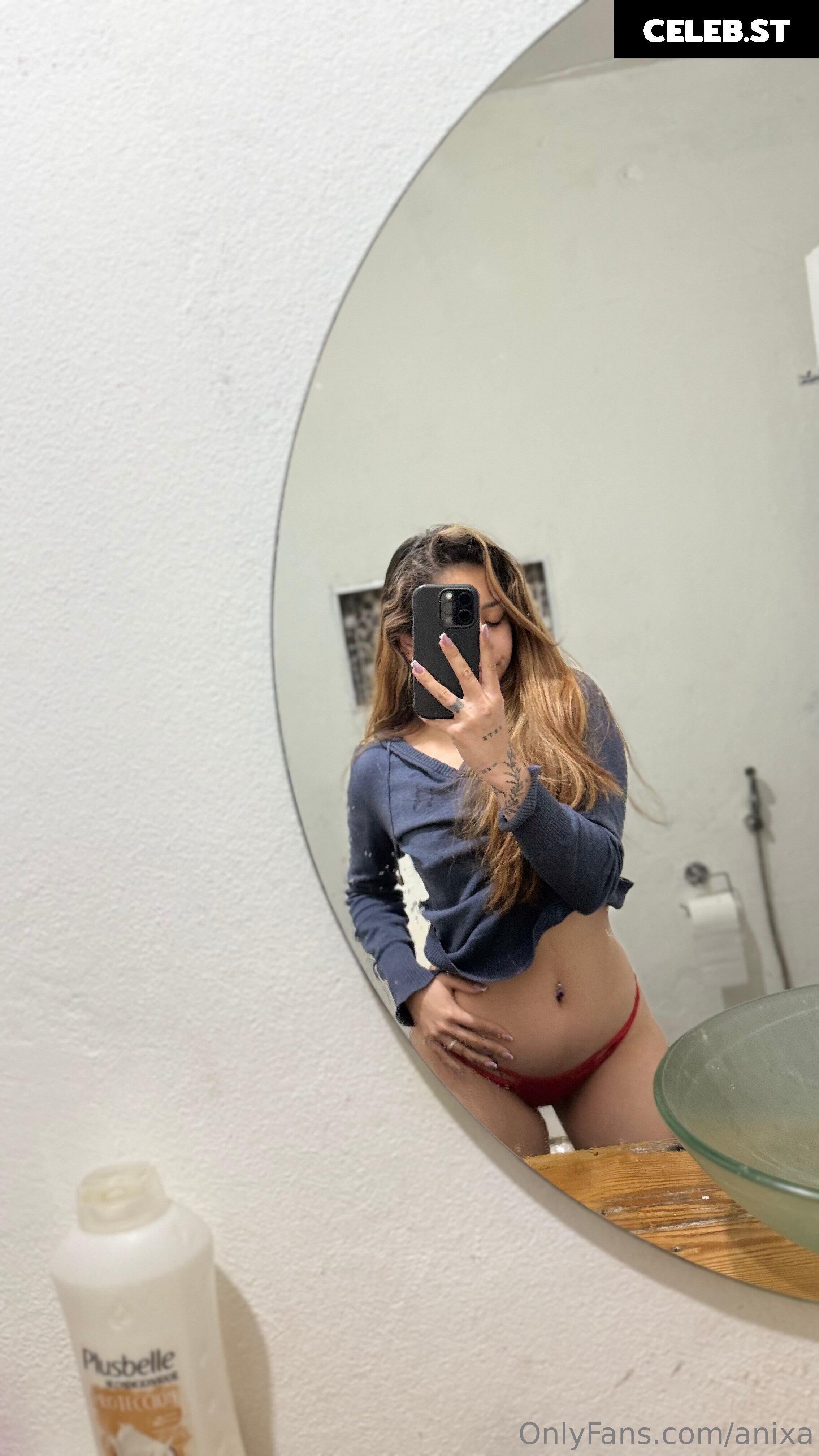anixa Image 17355852