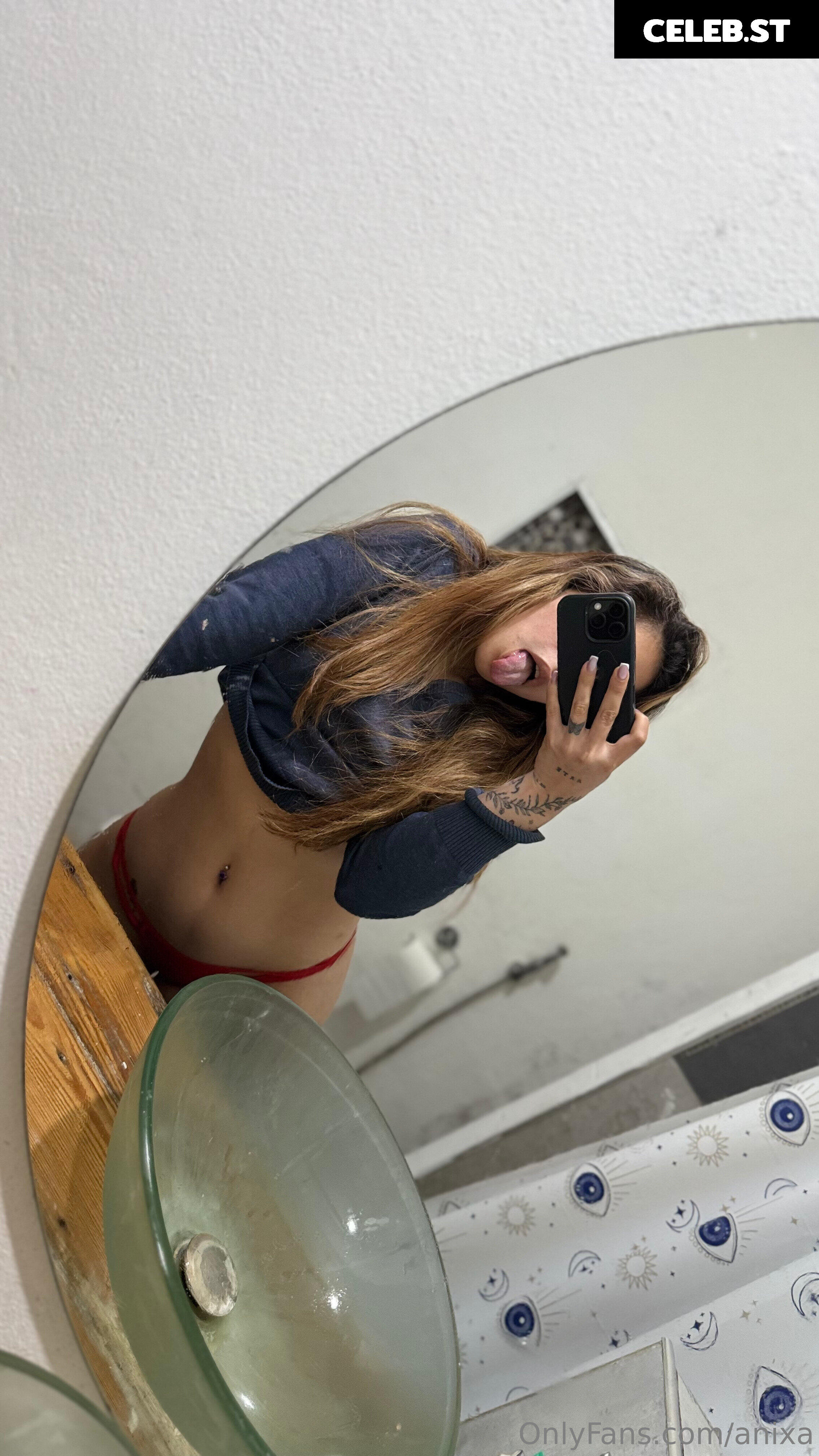 anixa Image 17355840
