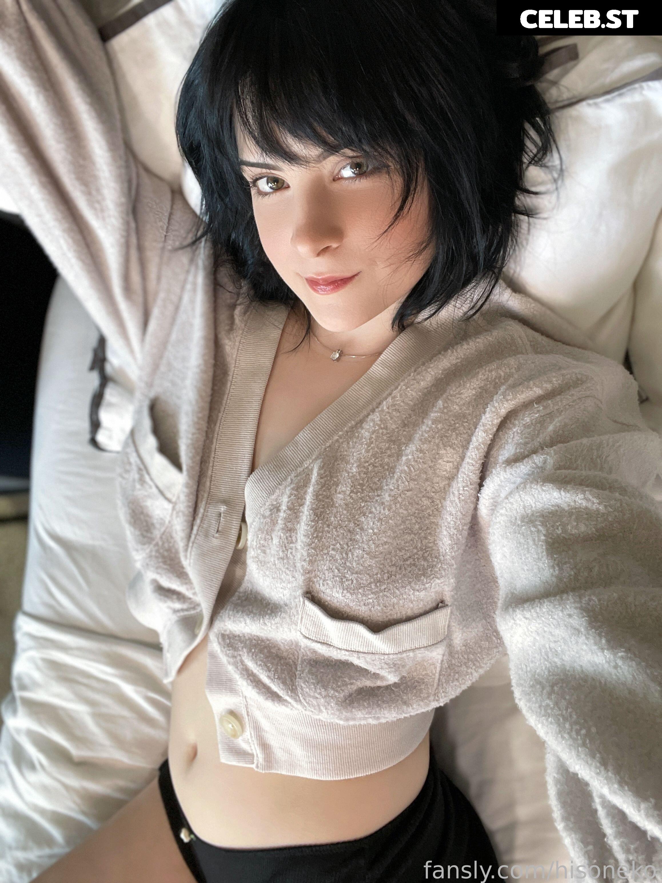 Hisoneko Image 173507