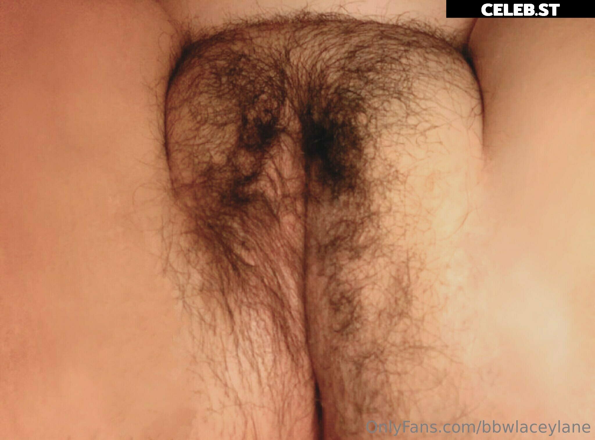 bbwlaceylane Image 17369747