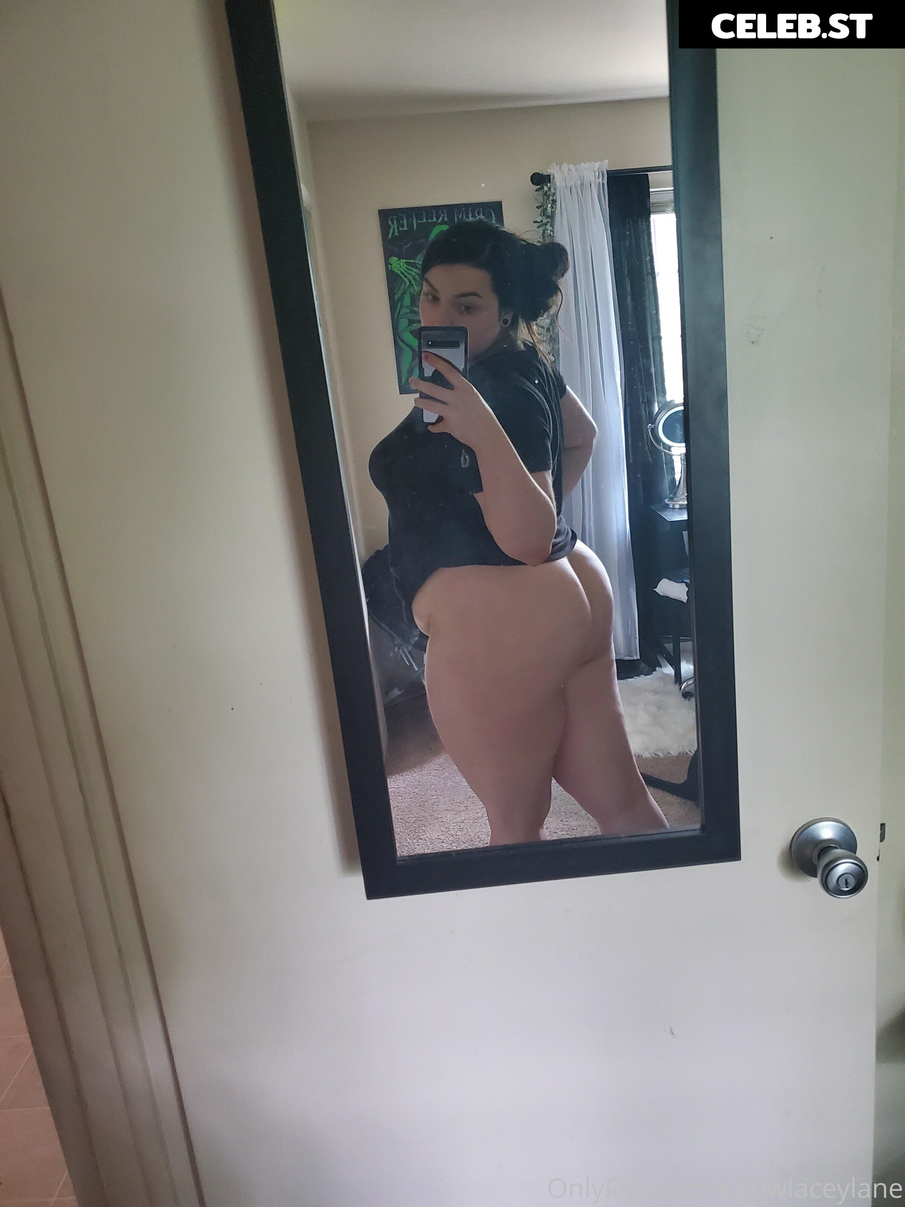 bbwlaceylane Image 17377771