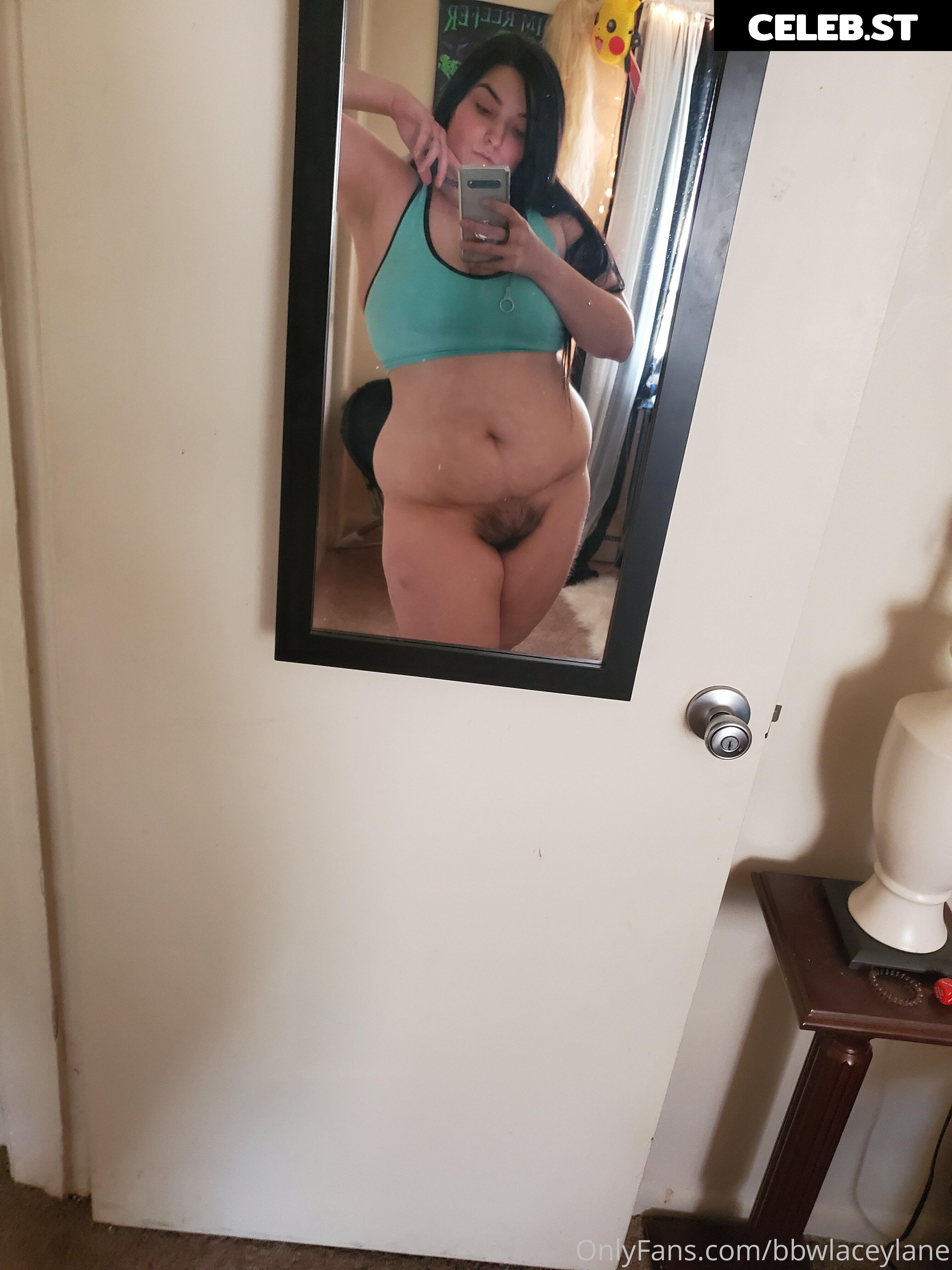 bbwlaceylane Image 17376707