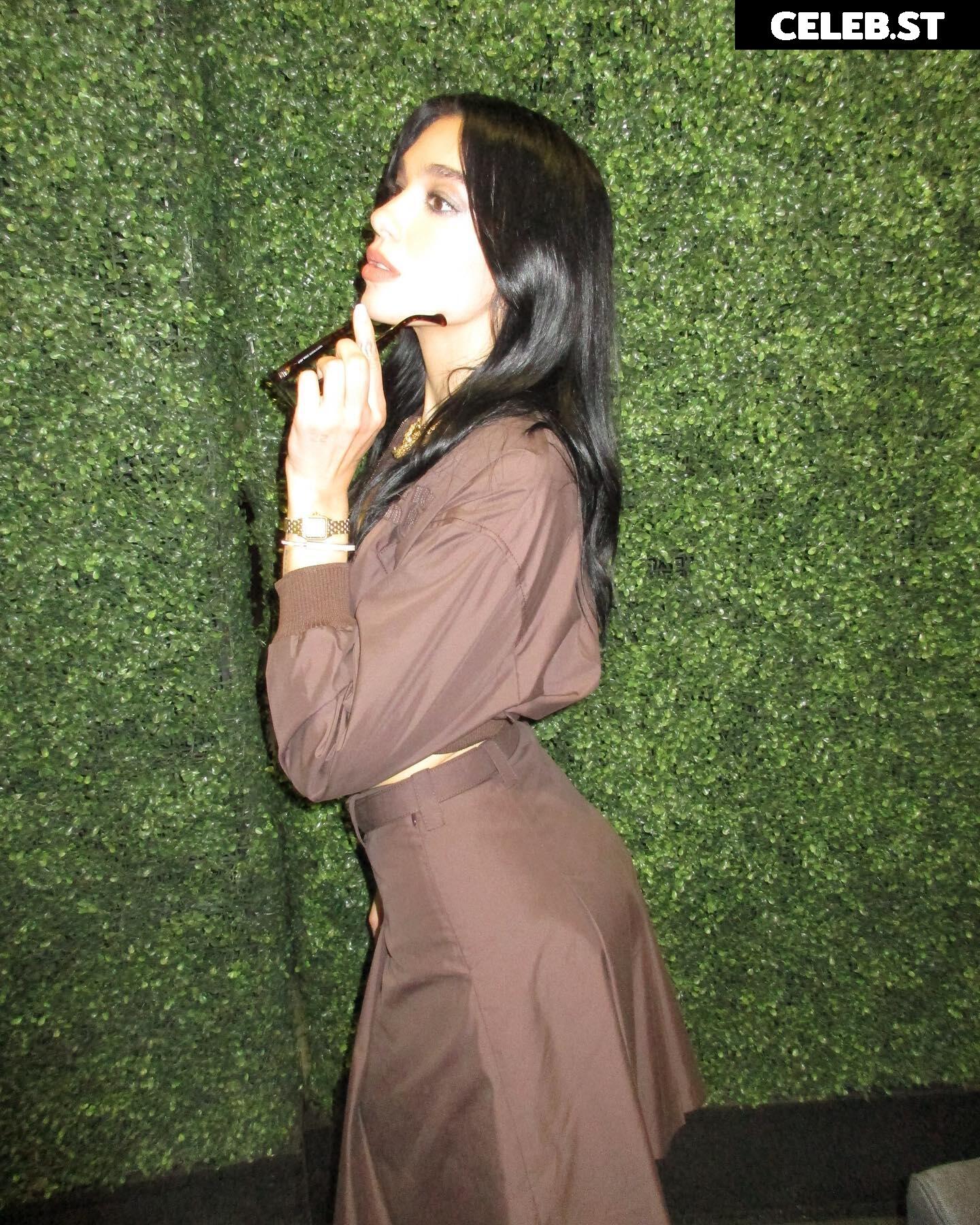 Dua Lipa Image 1734006