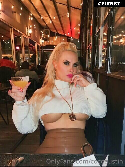 Nicole Coco Austin Image 1734268