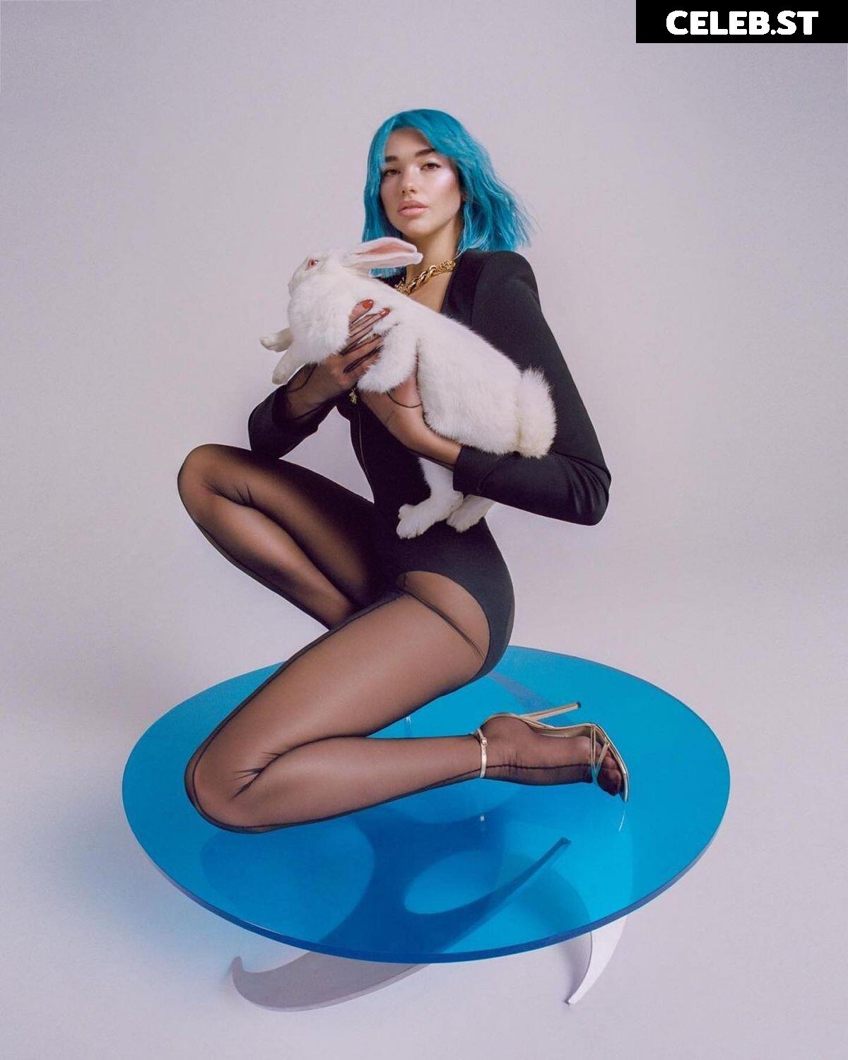 Dua Lipa Image 1734206
