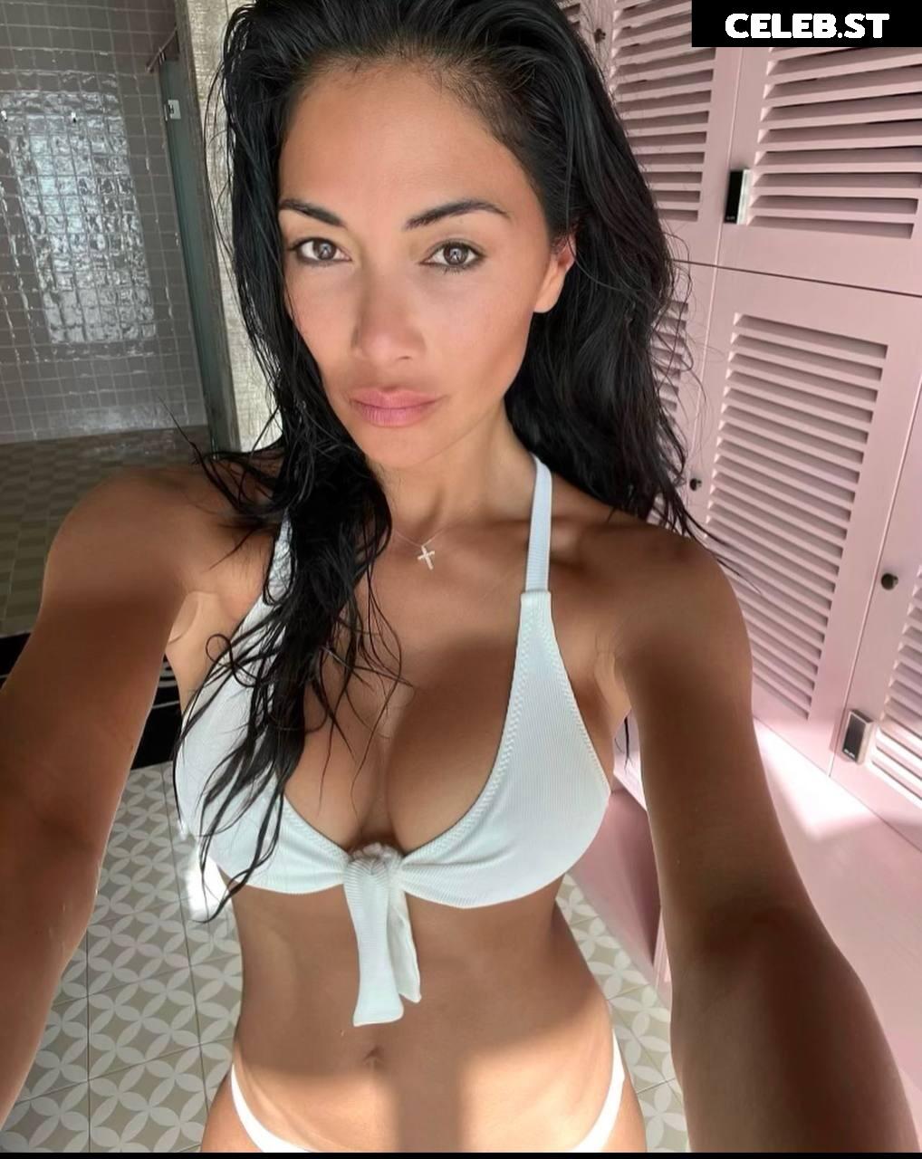Nicole Scherzinger Image 1734912