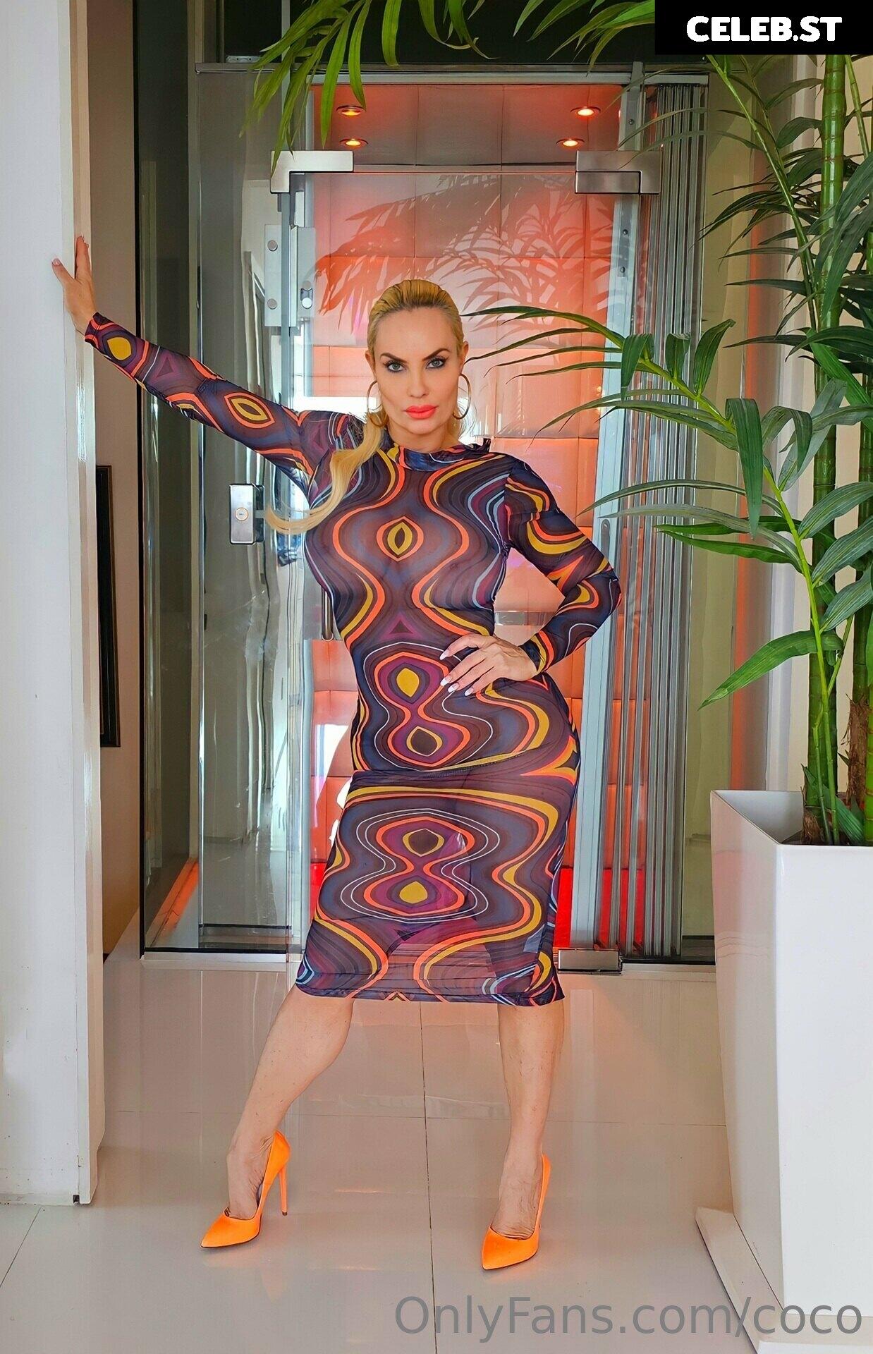Nicole Coco Austin Image 1732458