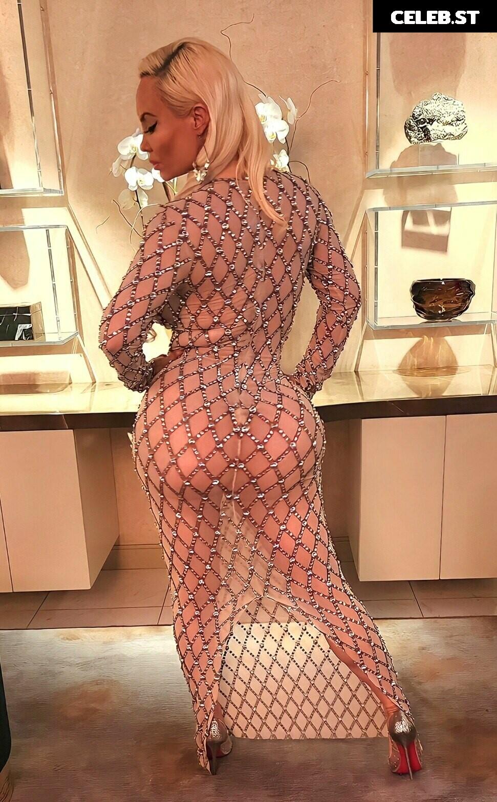 Nicole Coco Austin Image 1732252