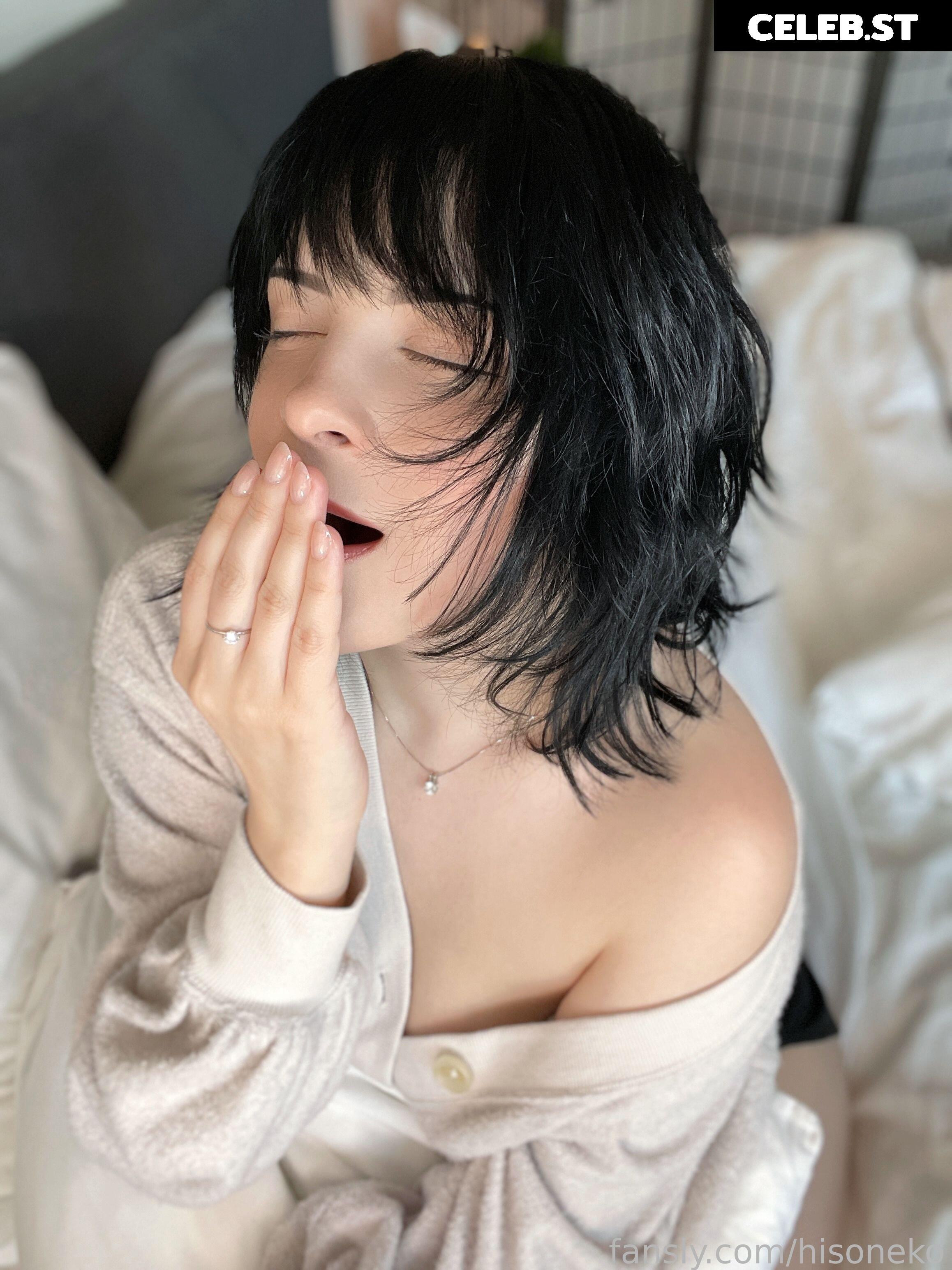 Hisoneko Image 173359