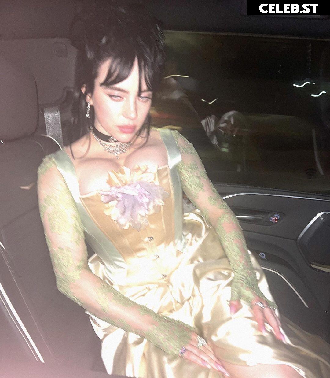 Billie Eilish Image 1730312