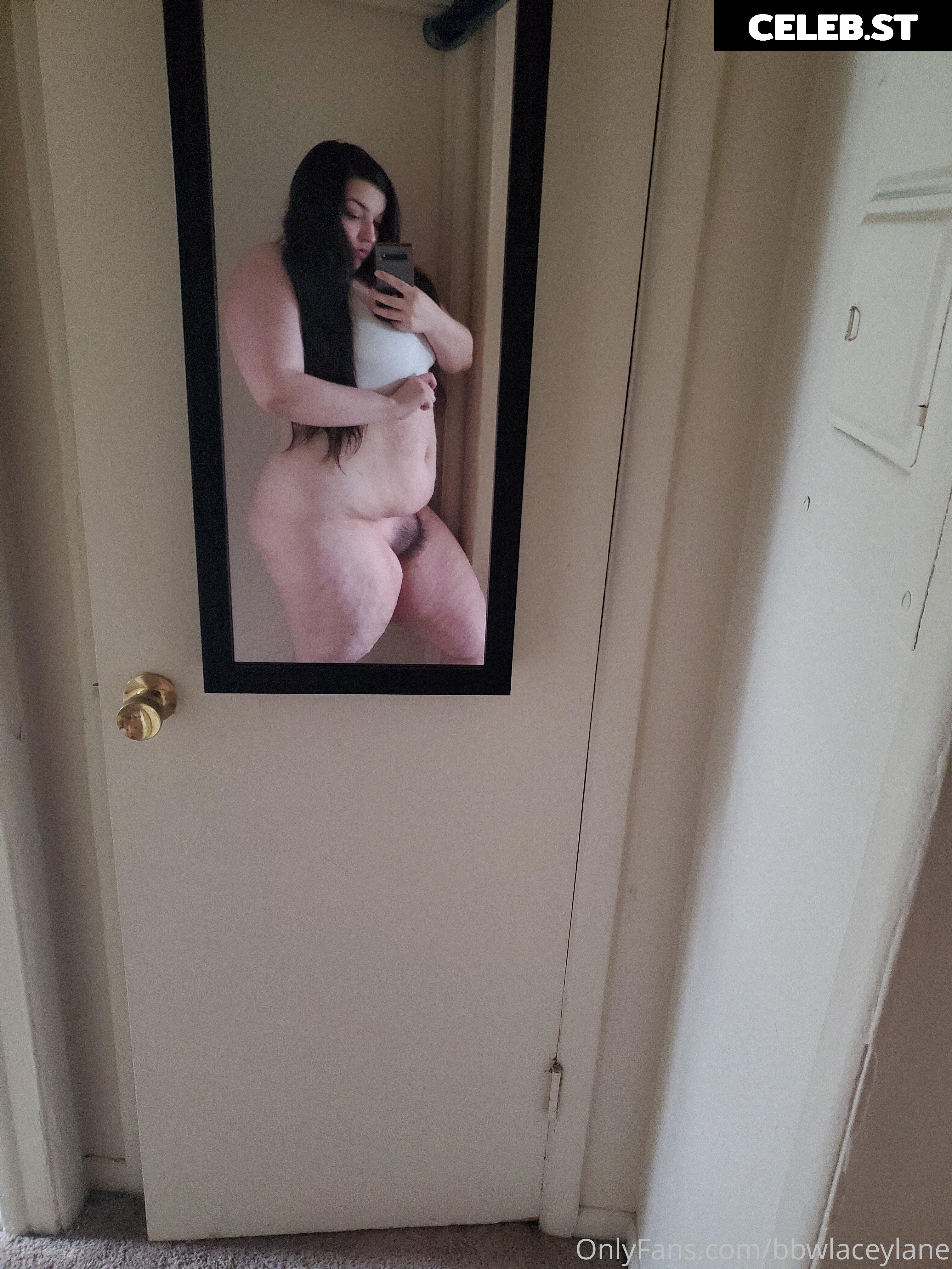 bbwlaceylane Image 17390896