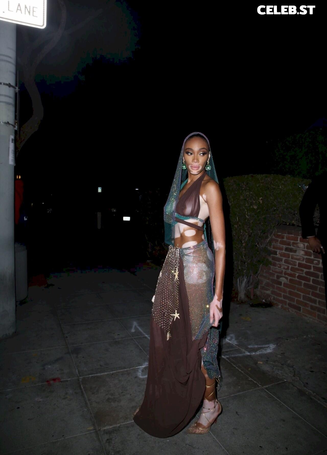Winnie Harlow Image 1739023