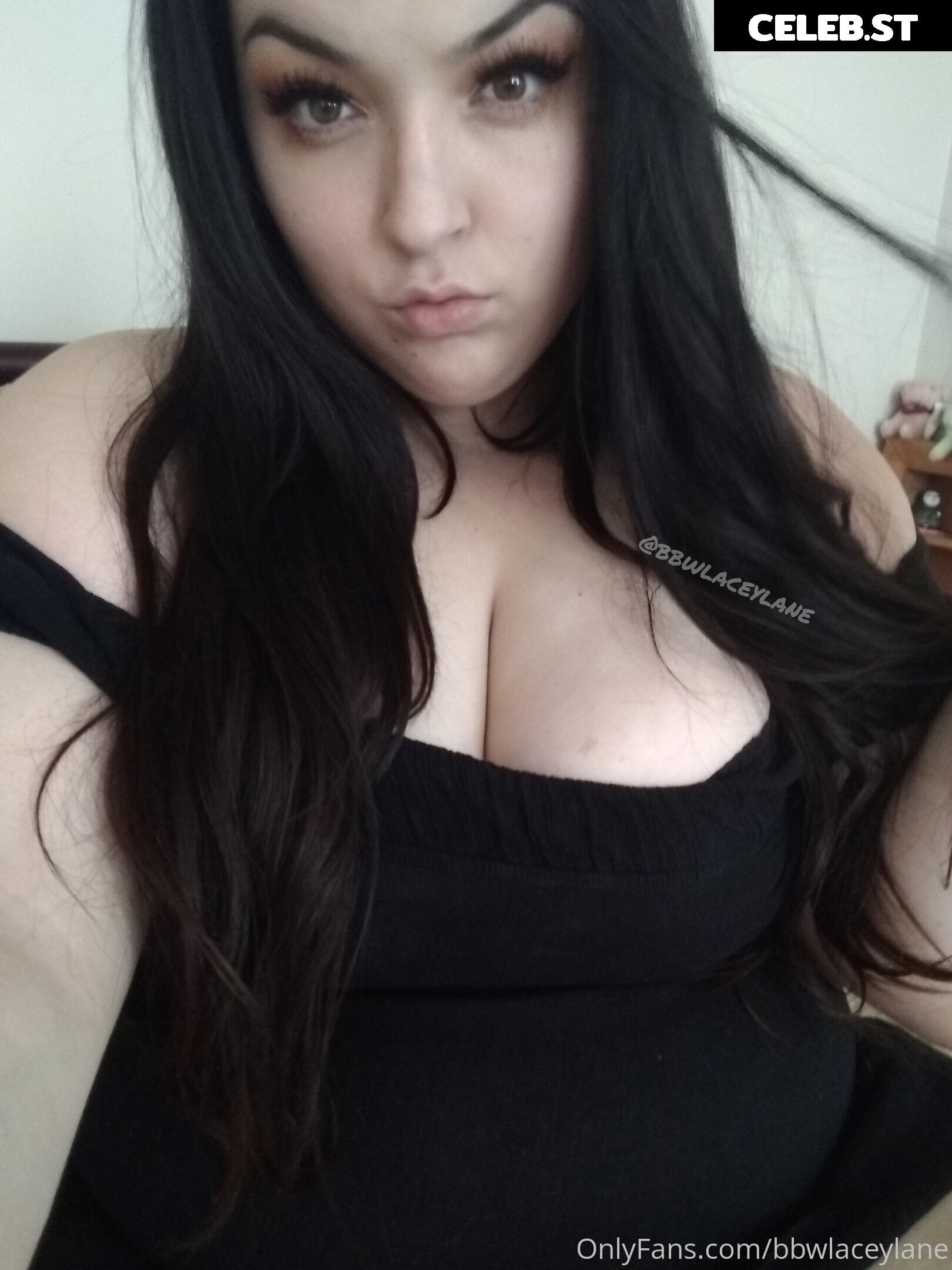 bbwlaceylane Image 17399717