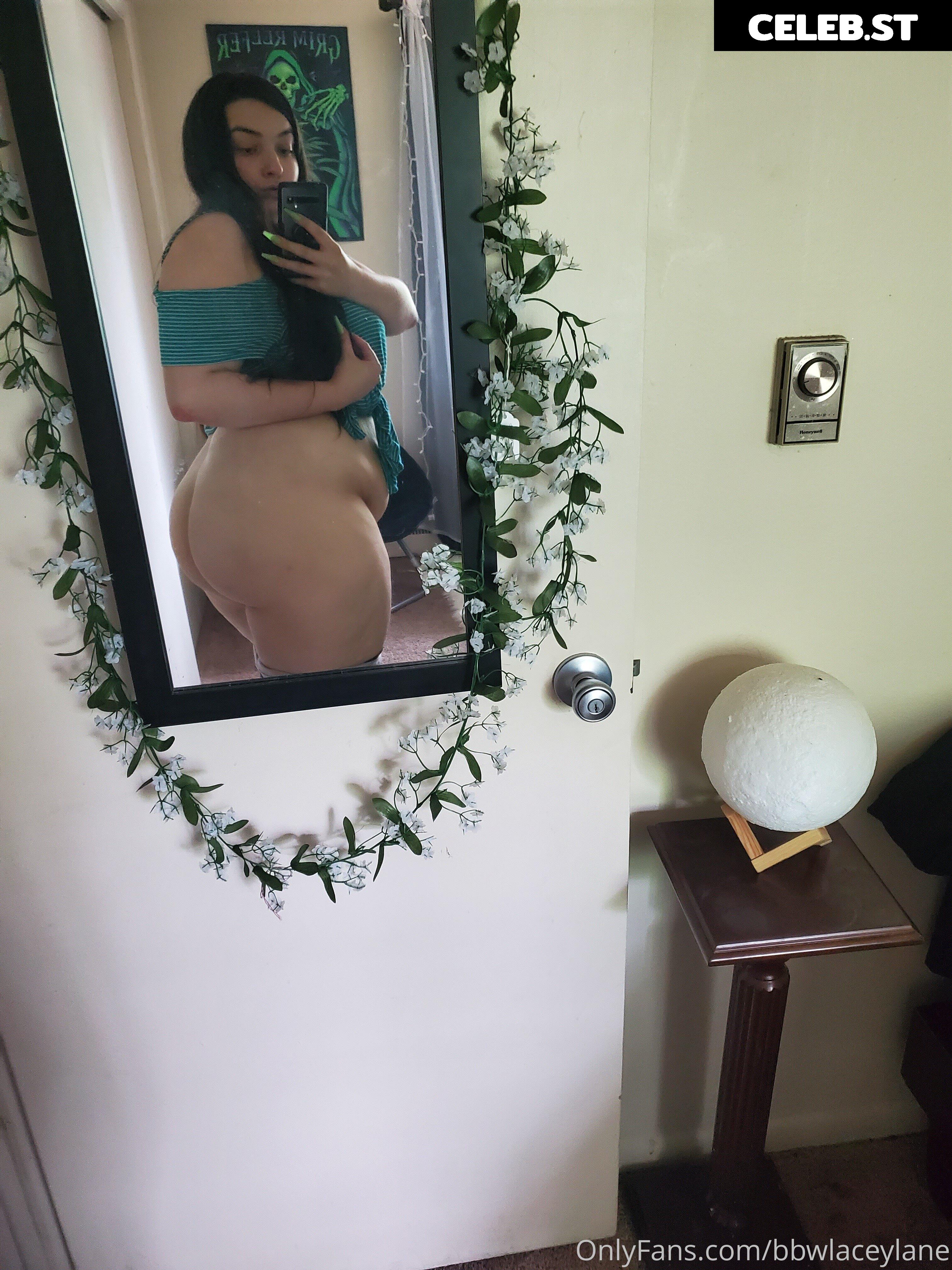 bbwlaceylane Image 17381707