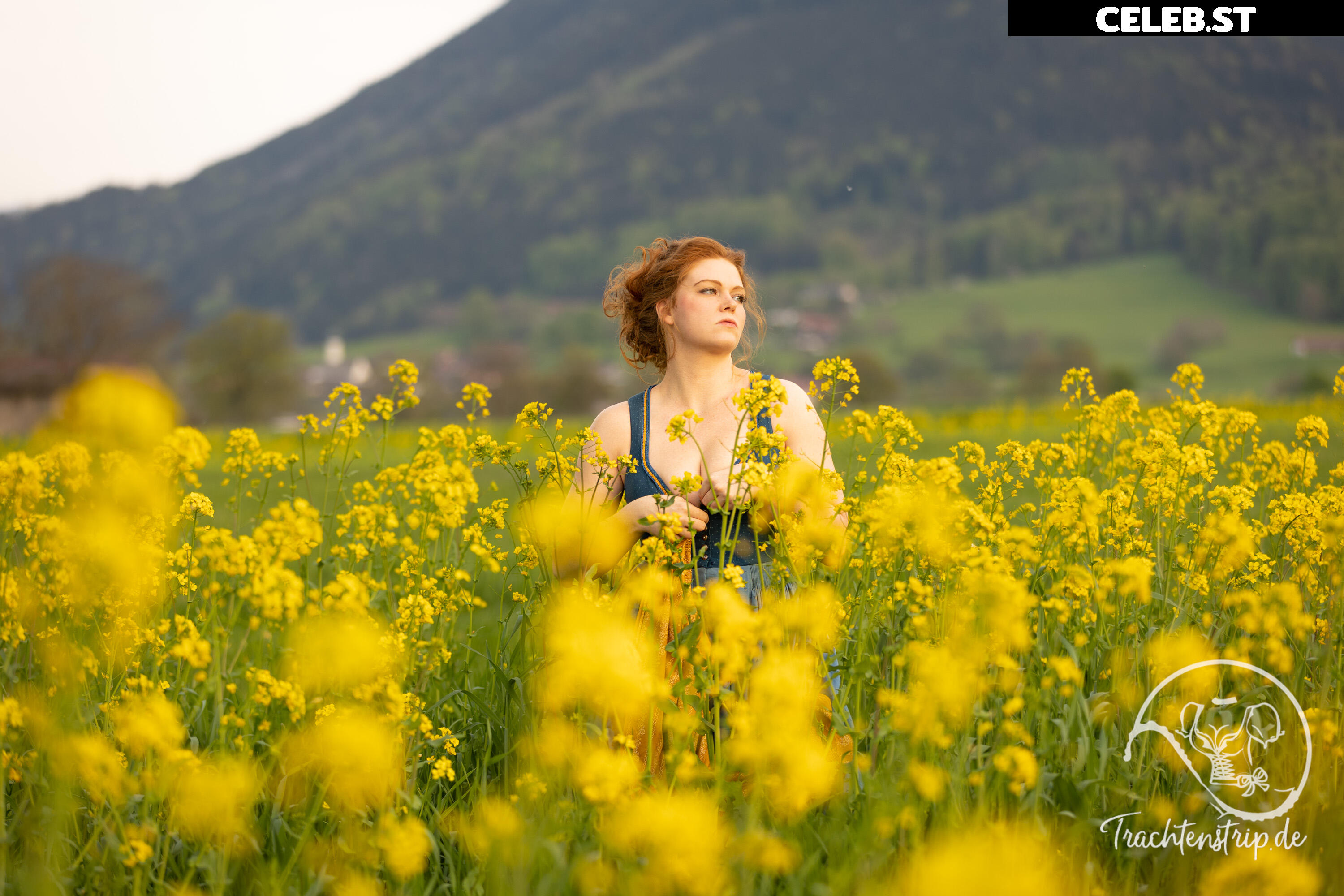 Trachtenstrip Image 1721177
