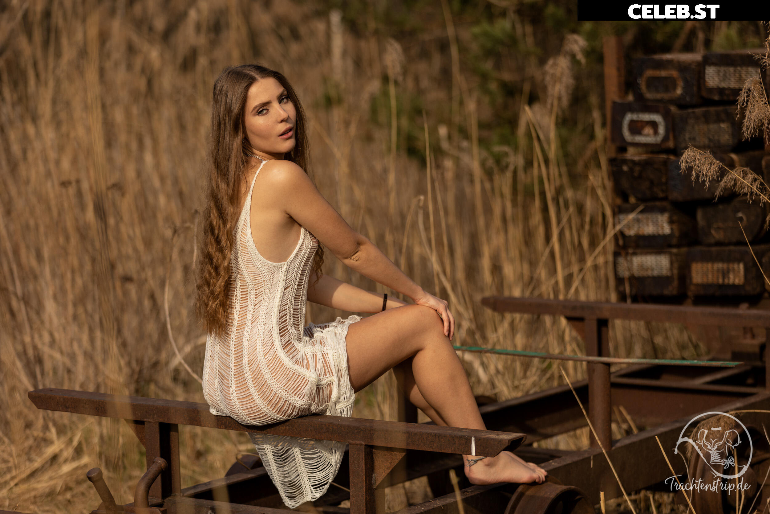 Trachtenstrip Image 1720276
