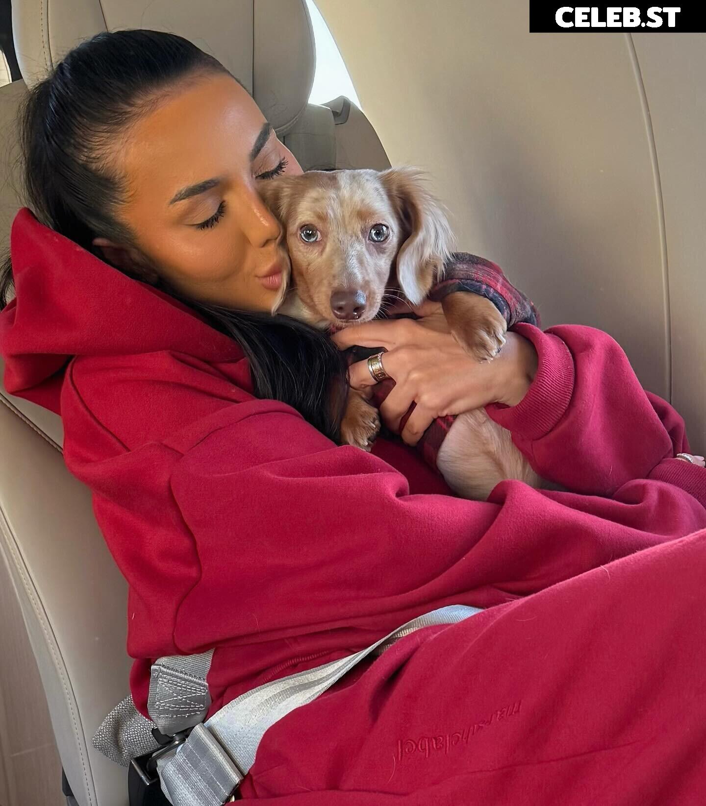 Arianna Ajtar Image 17286725