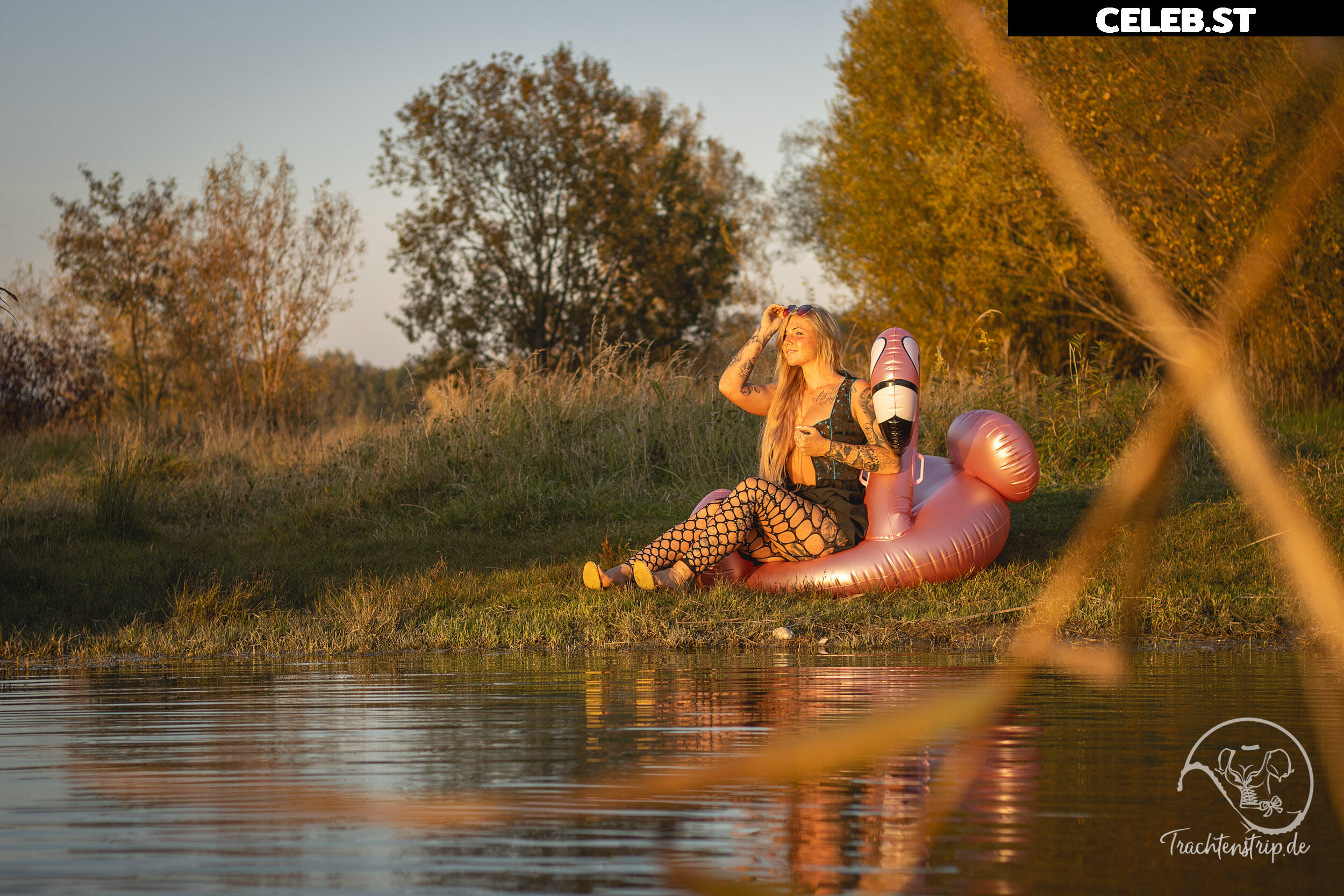 Trachtenstrip Image 1715503