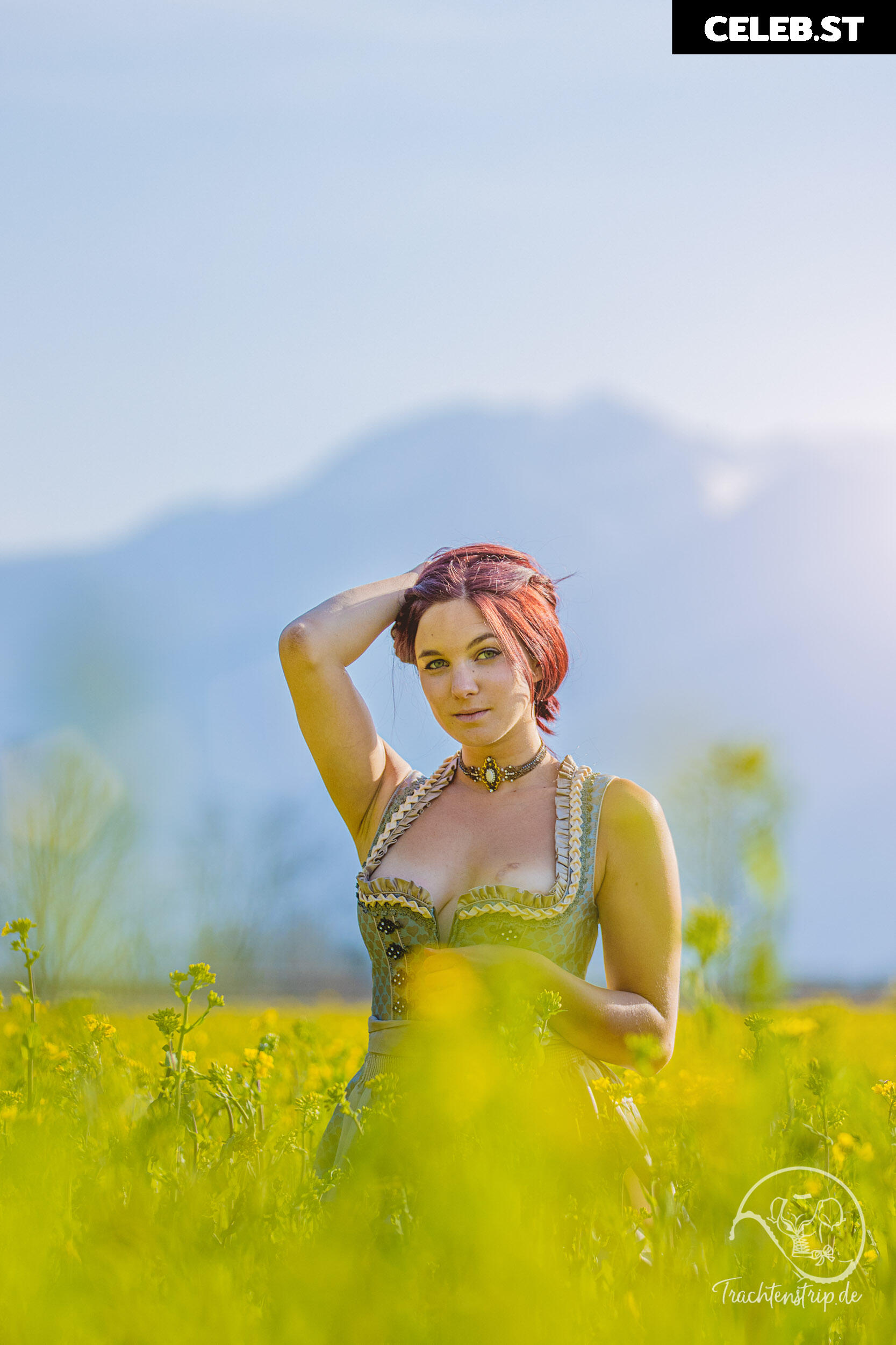 Trachtenstrip Image 1715715