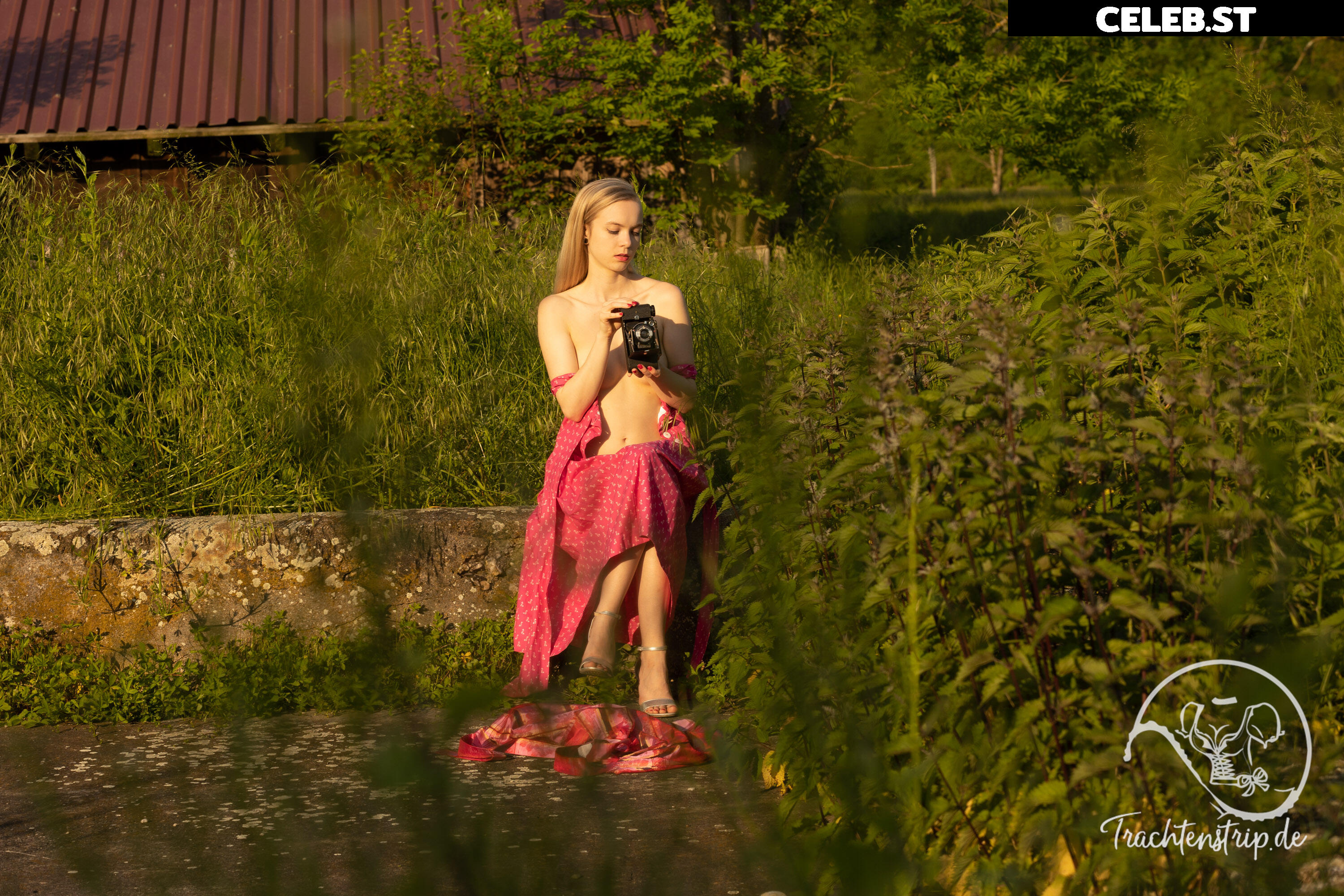 Trachtenstrip Image 1716846