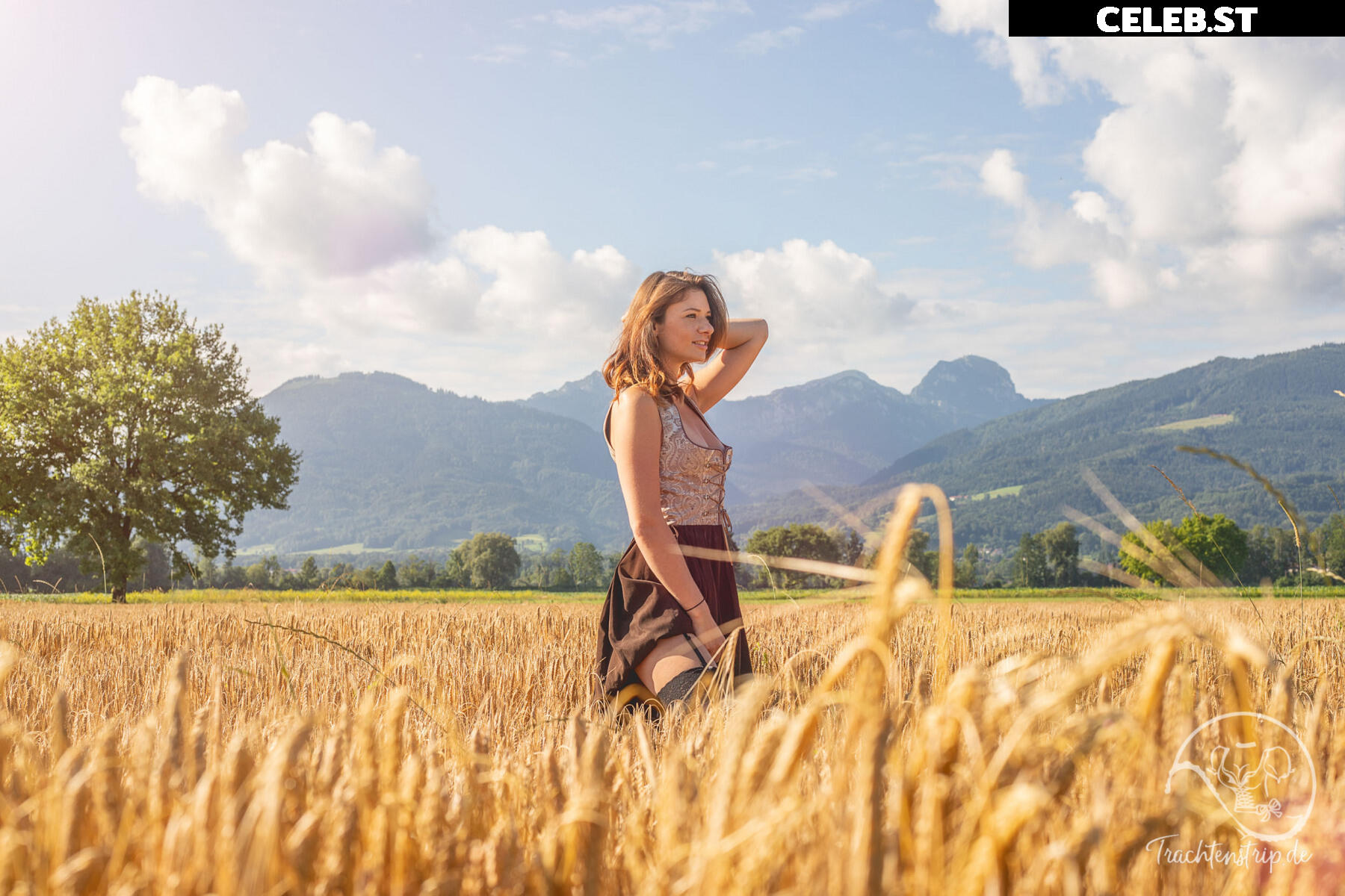 Trachtenstrip Image 1716540