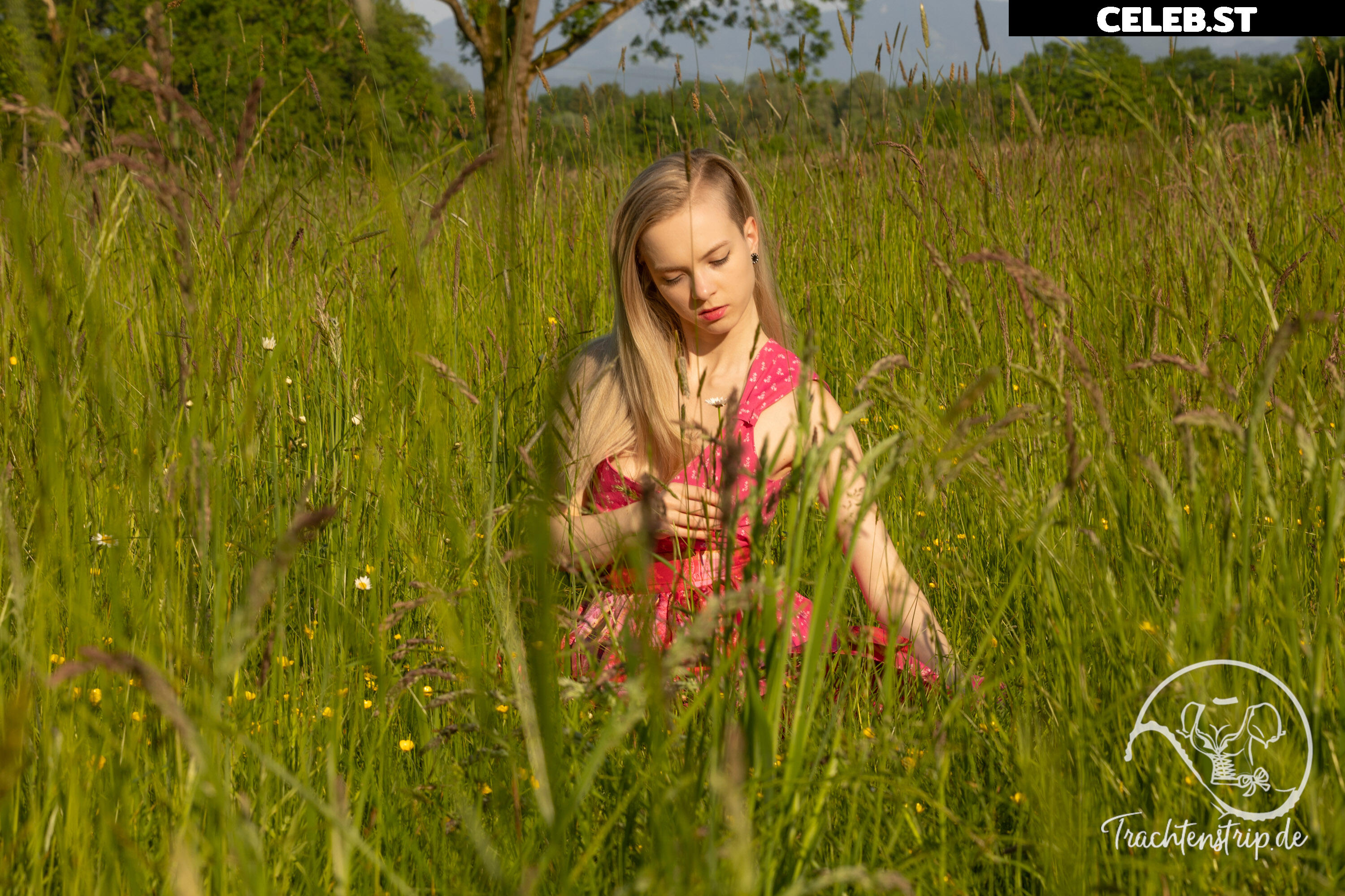 Trachtenstrip Image 1716619