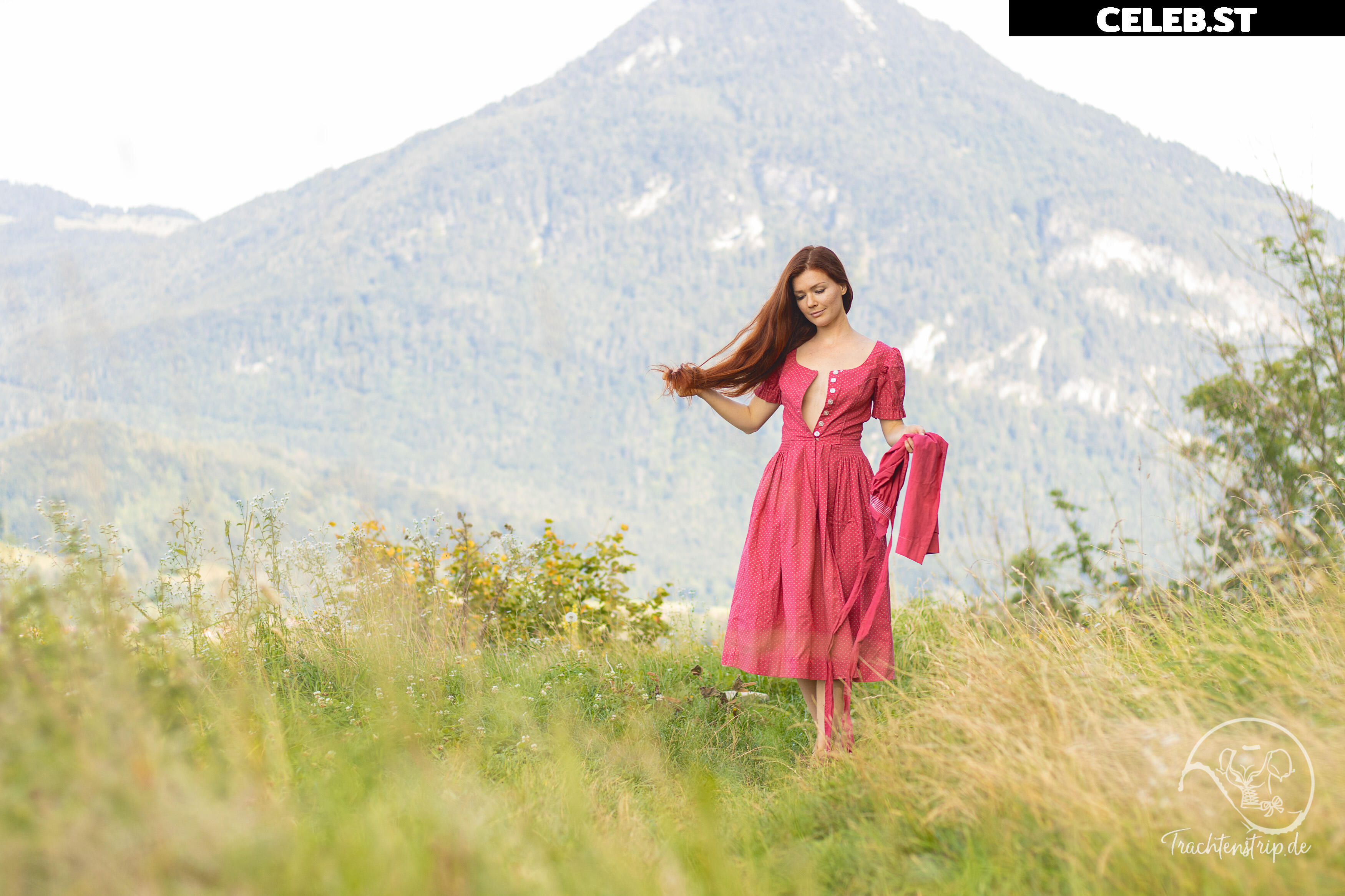 Trachtenstrip Image 1717855