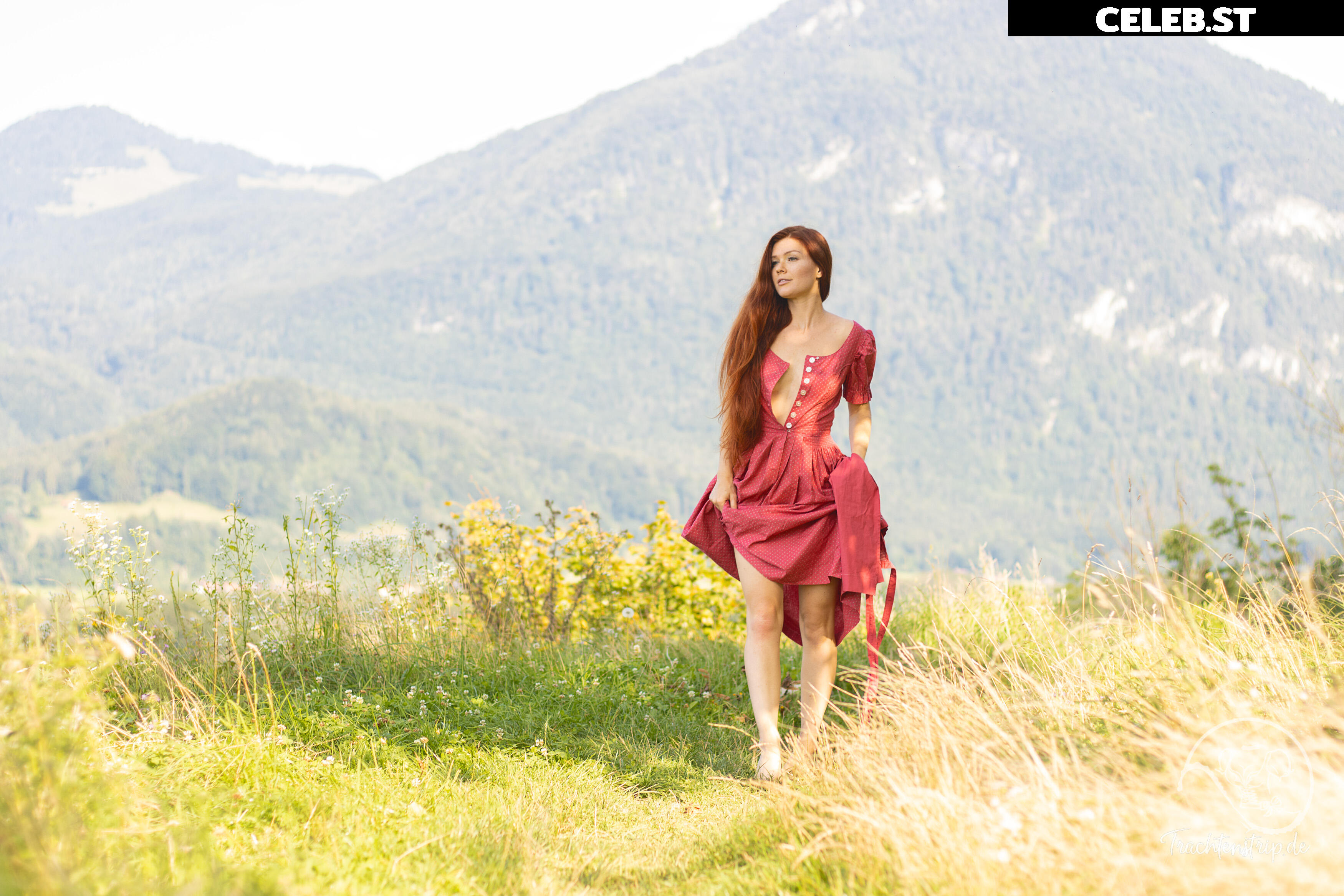 Trachtenstrip Image 1717861