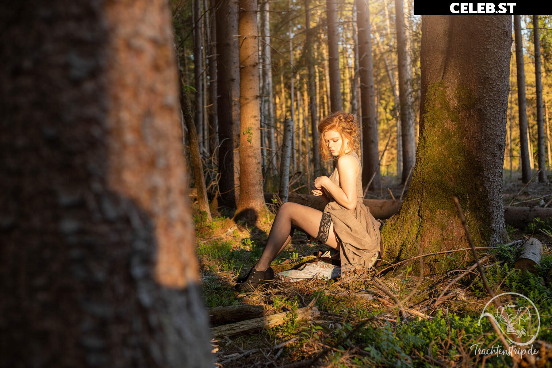 Trachtenstrip Image 1717254