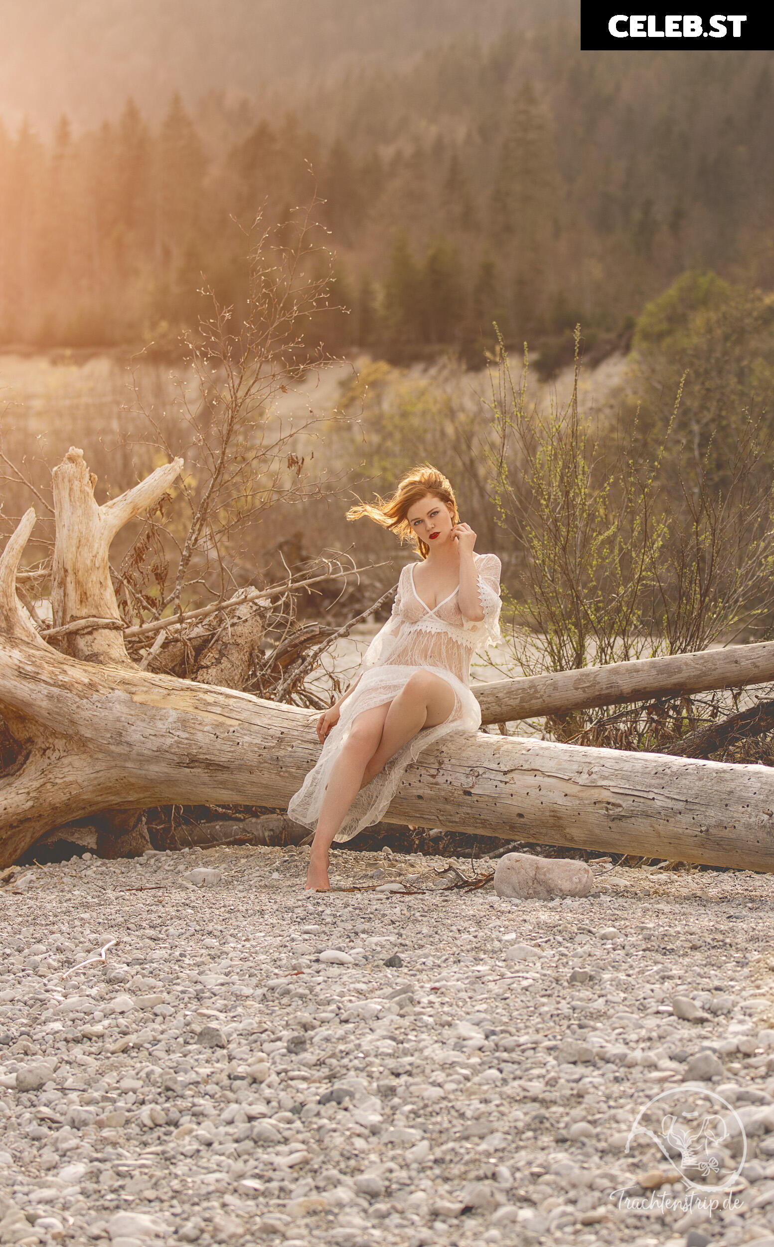 Trachtenstrip Image 1719375