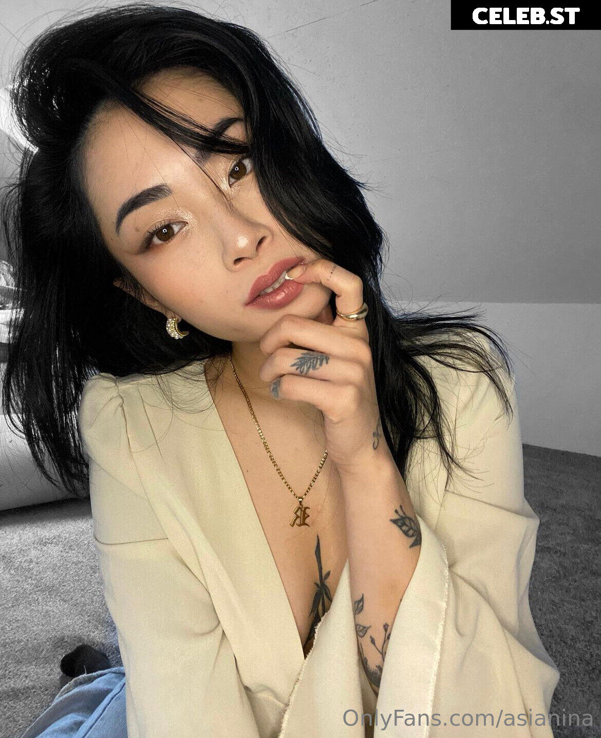 asianina Image 17184521