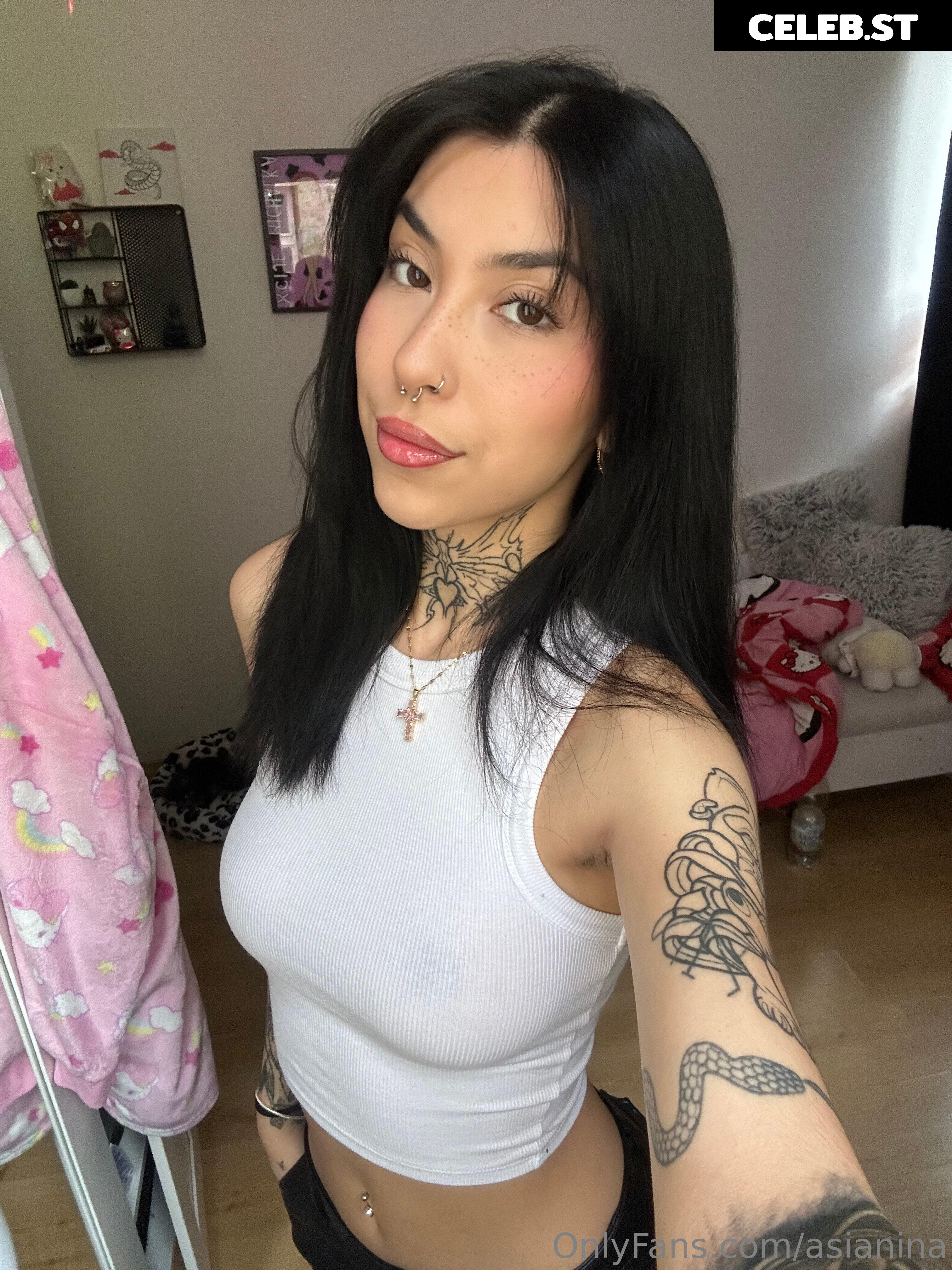 asianina Image 17184157