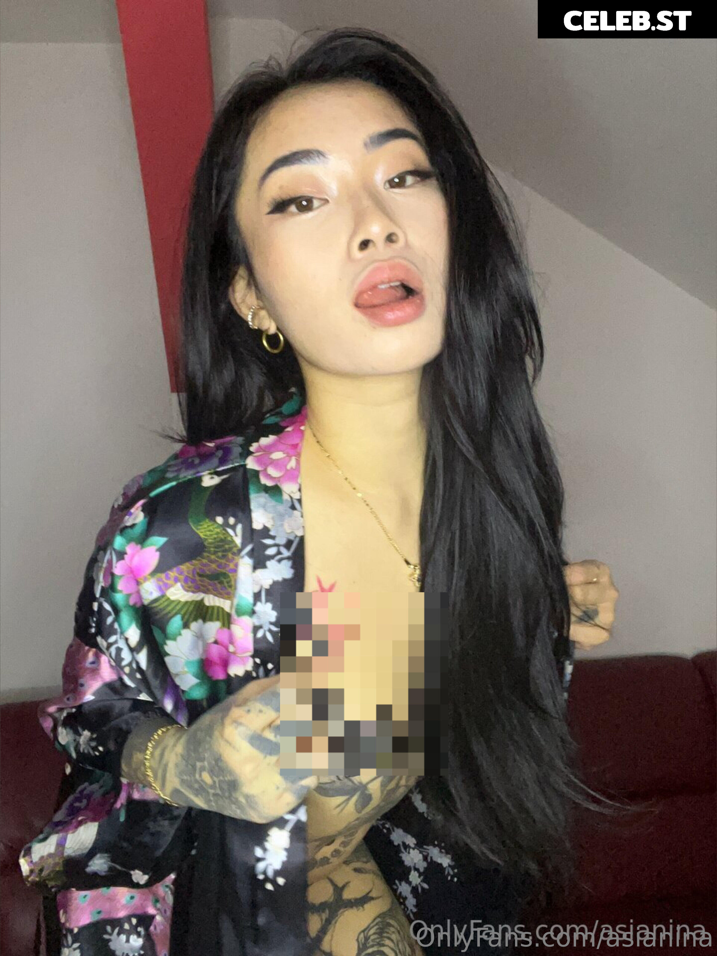 asianina Image 17183491